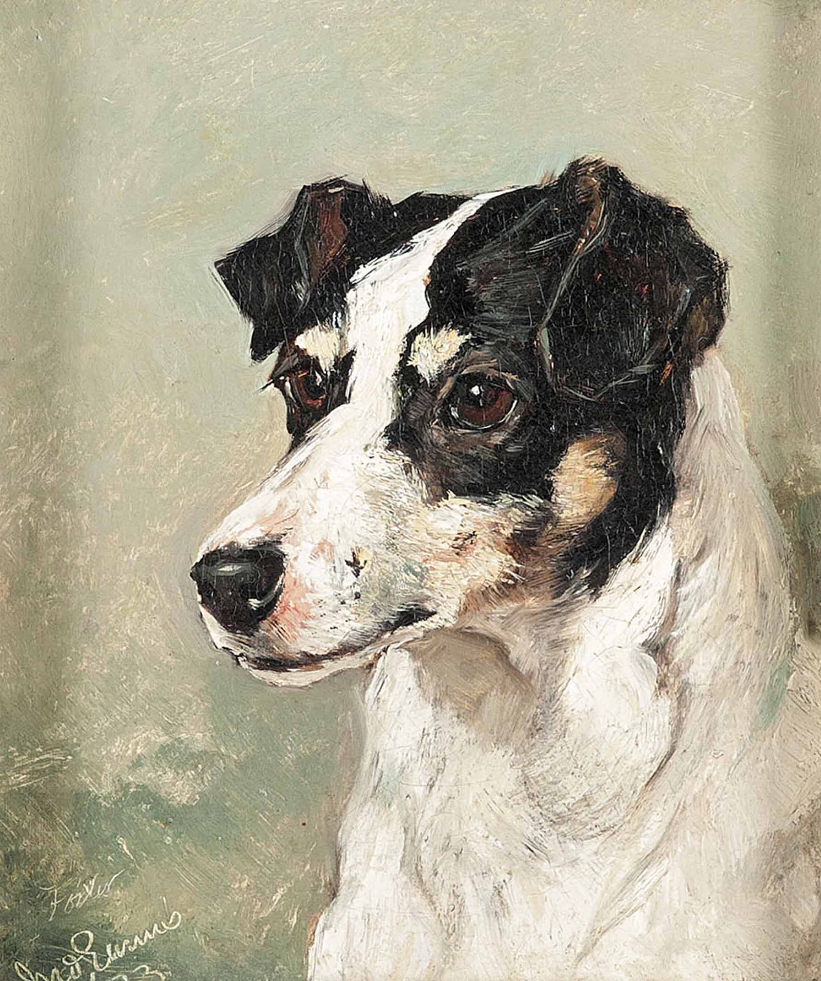 john emms dog paintings