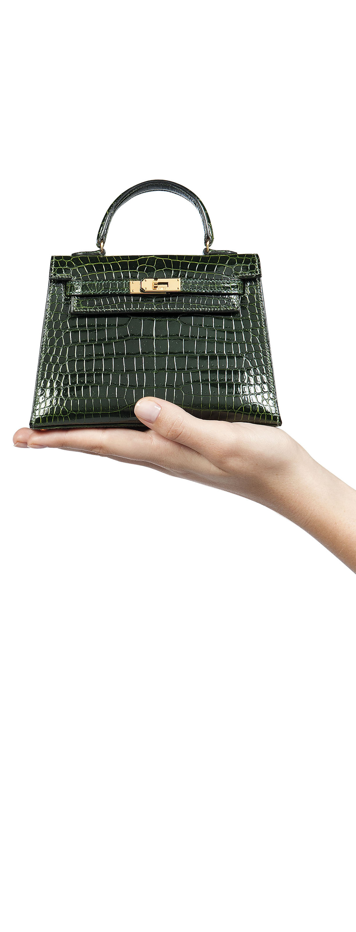 Mini kelly clearance crocodile price