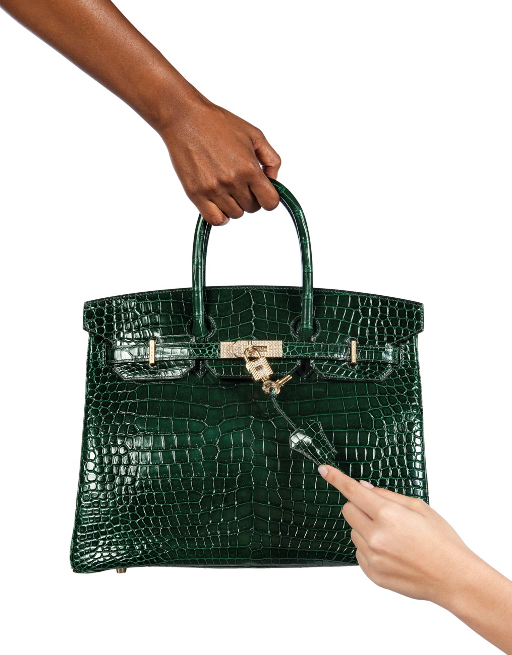 crocodile diamond birkin