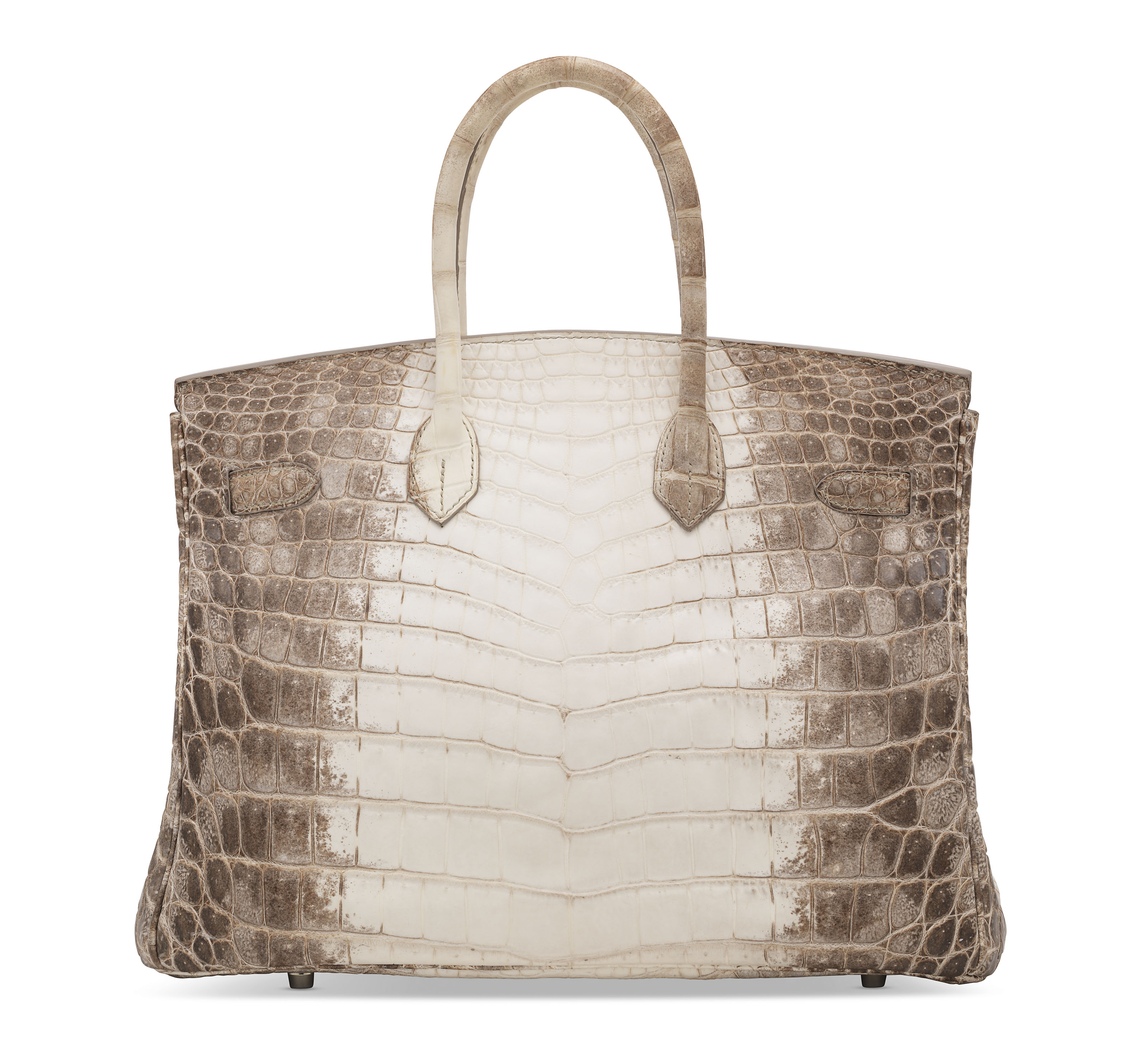 crocodile diamond birkin