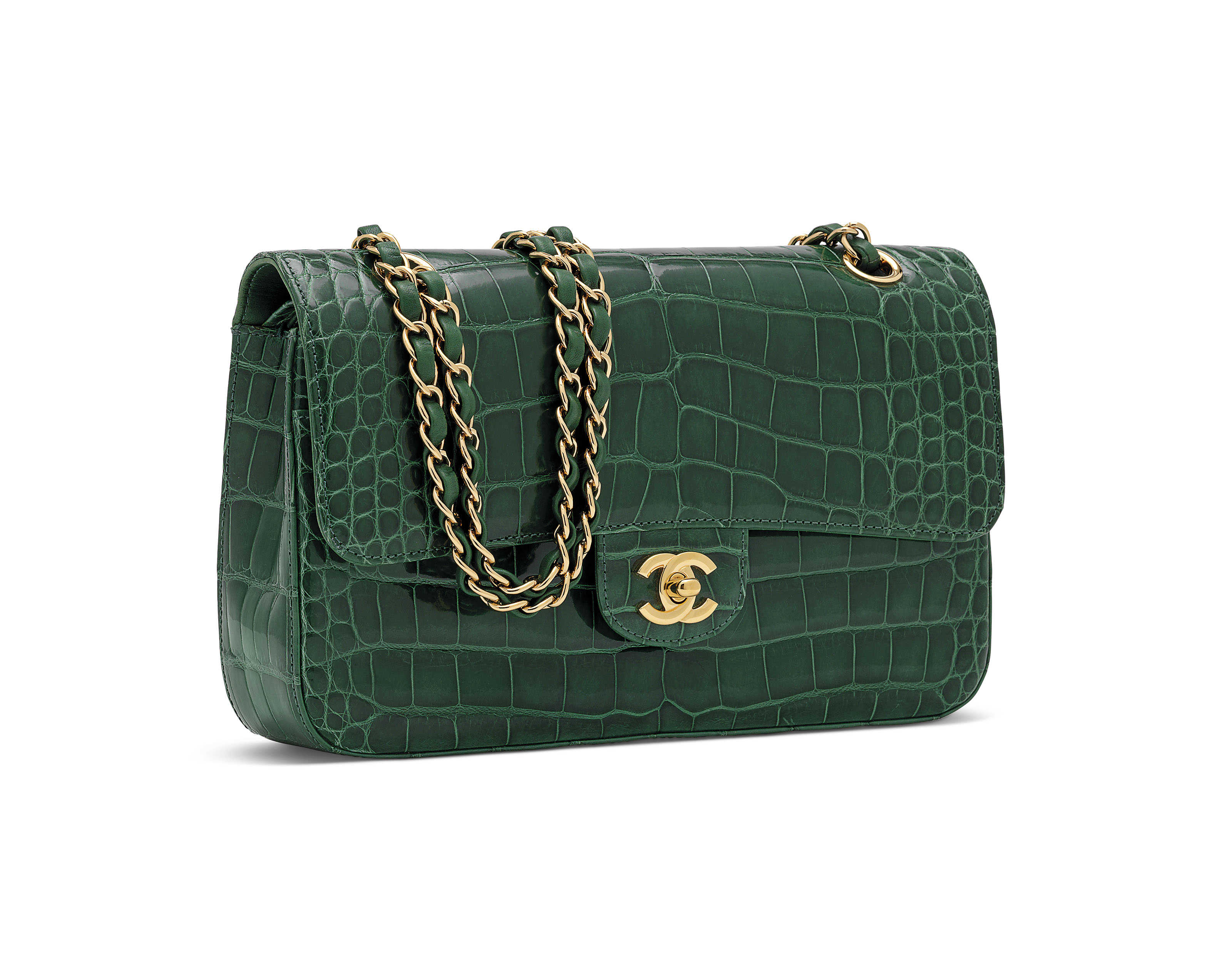 Croc chanel bag shop
