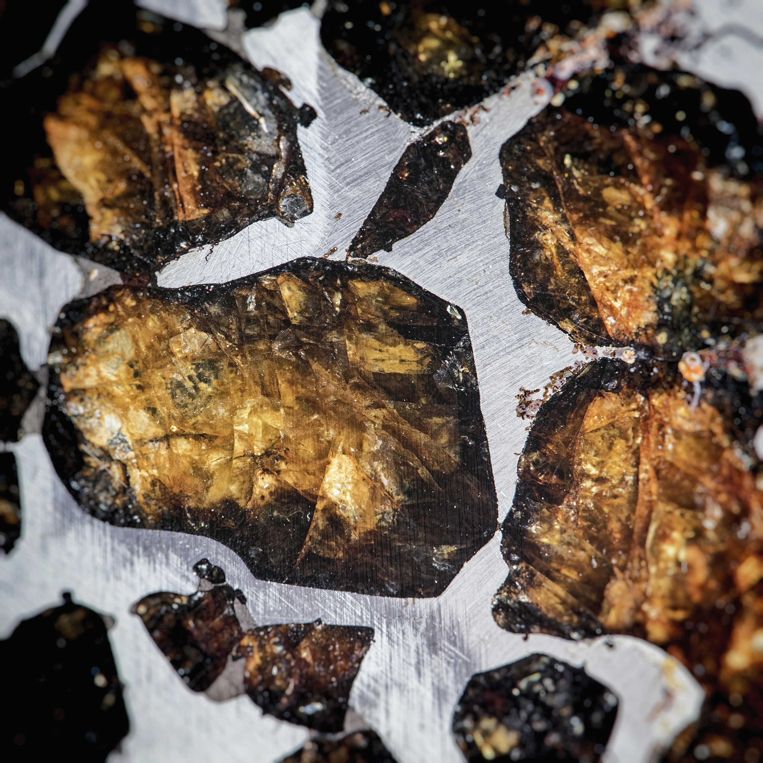 seymchan meteorite