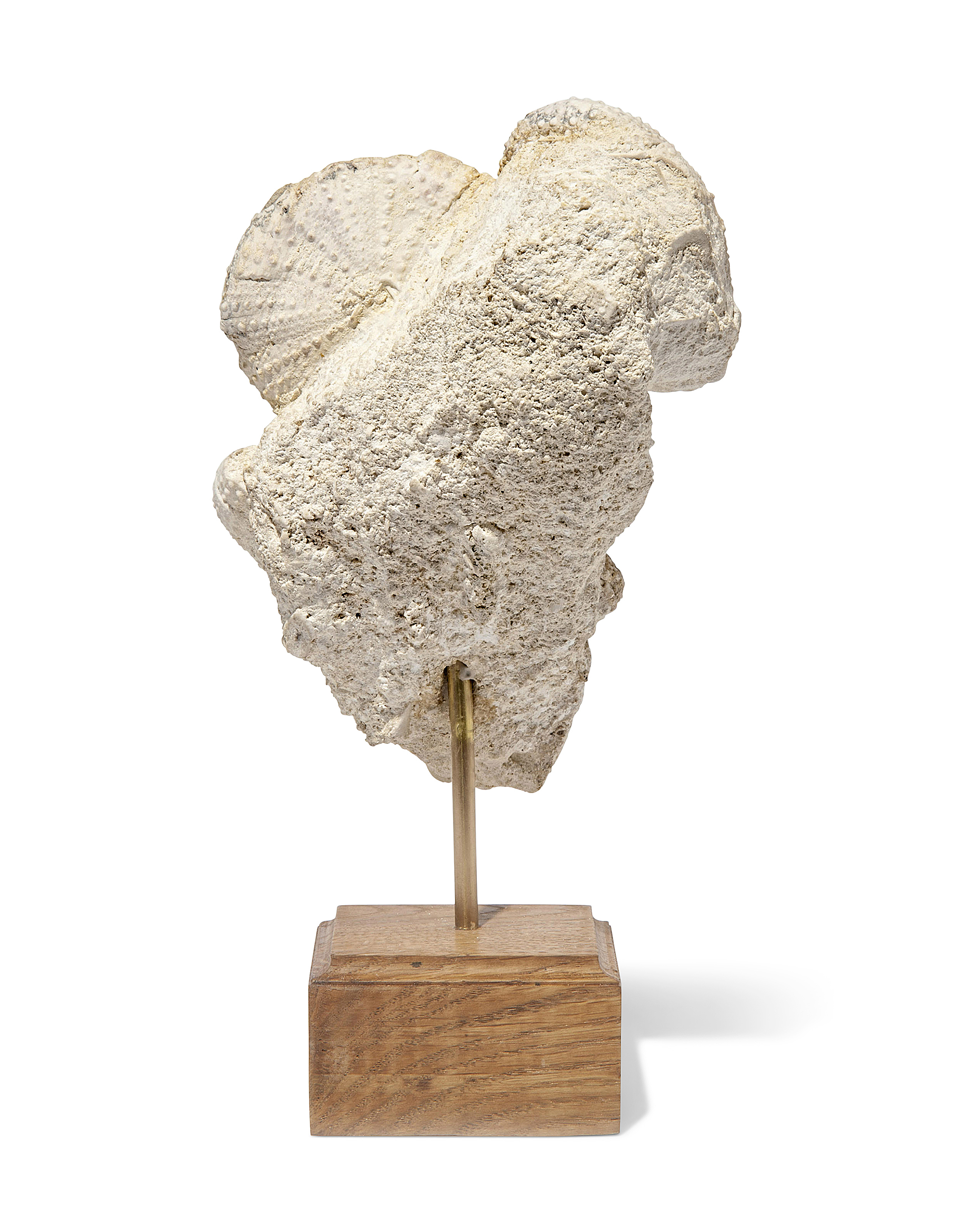 FOSSIL SEA URCHINS, FRANCE | Christie's