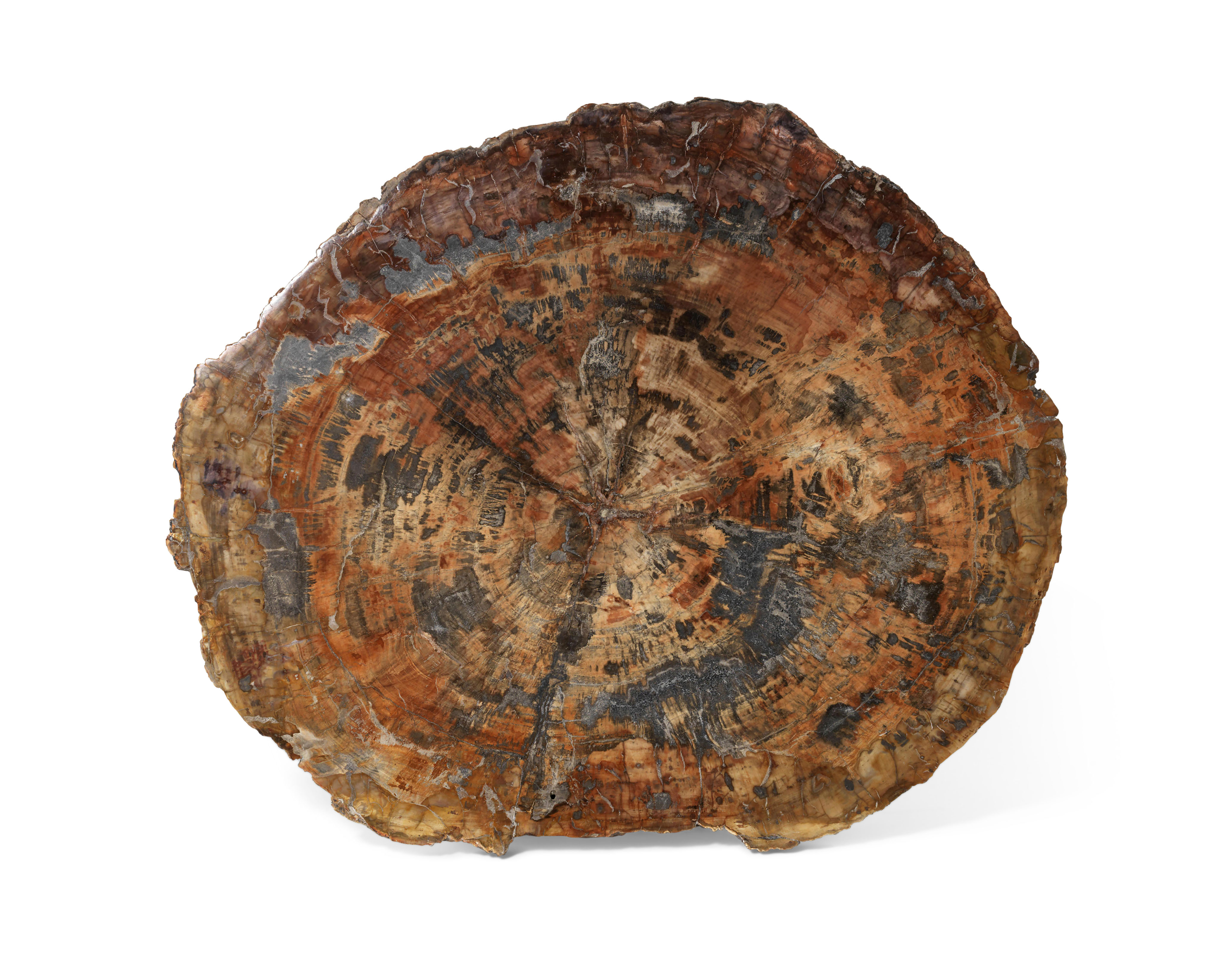 A SLICE OF PETRIFIED WOOD, MADAGASCAR | Christie's