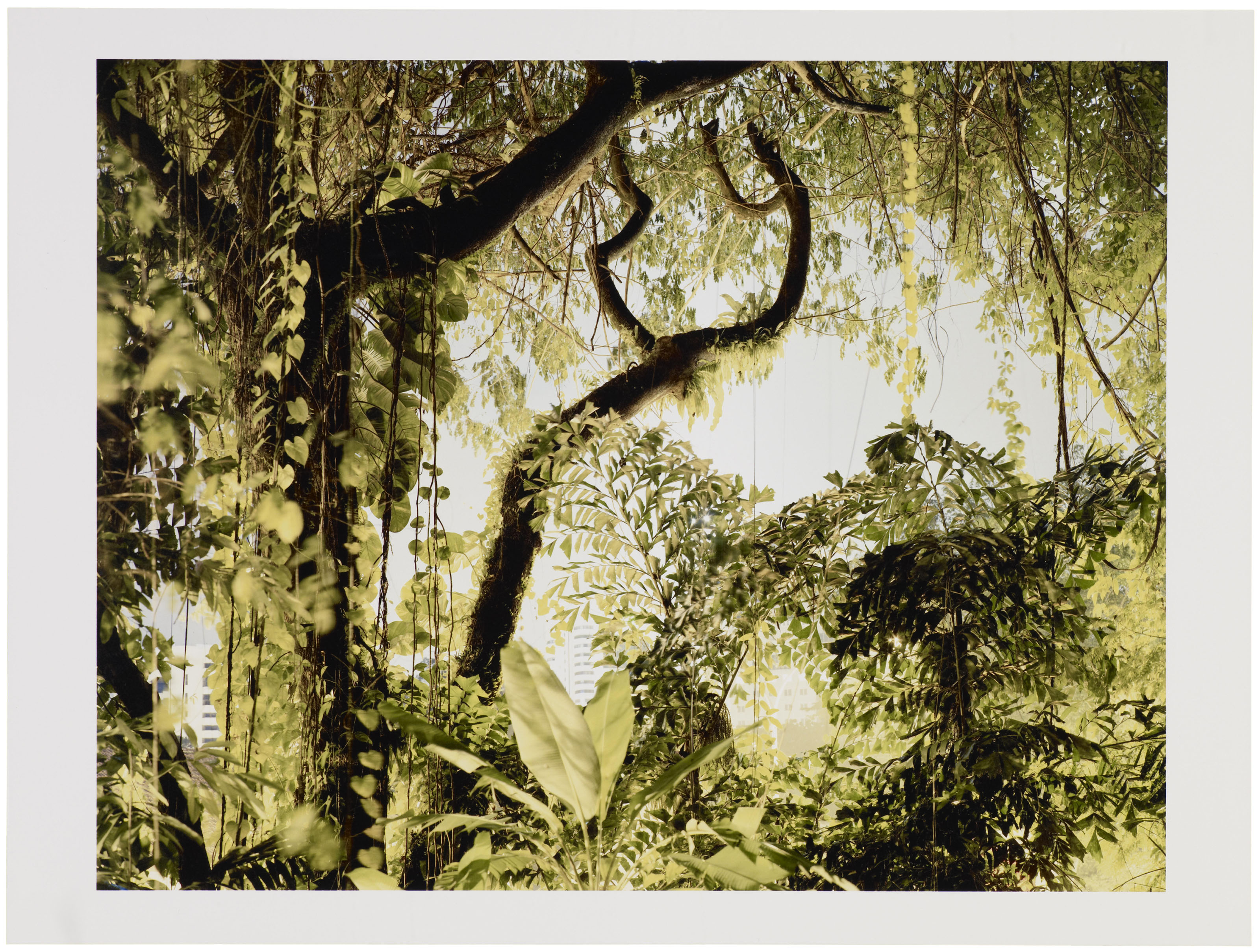 PETER BIALOBRZESKI (B. 1961), Paradise Now - 38, 2008
