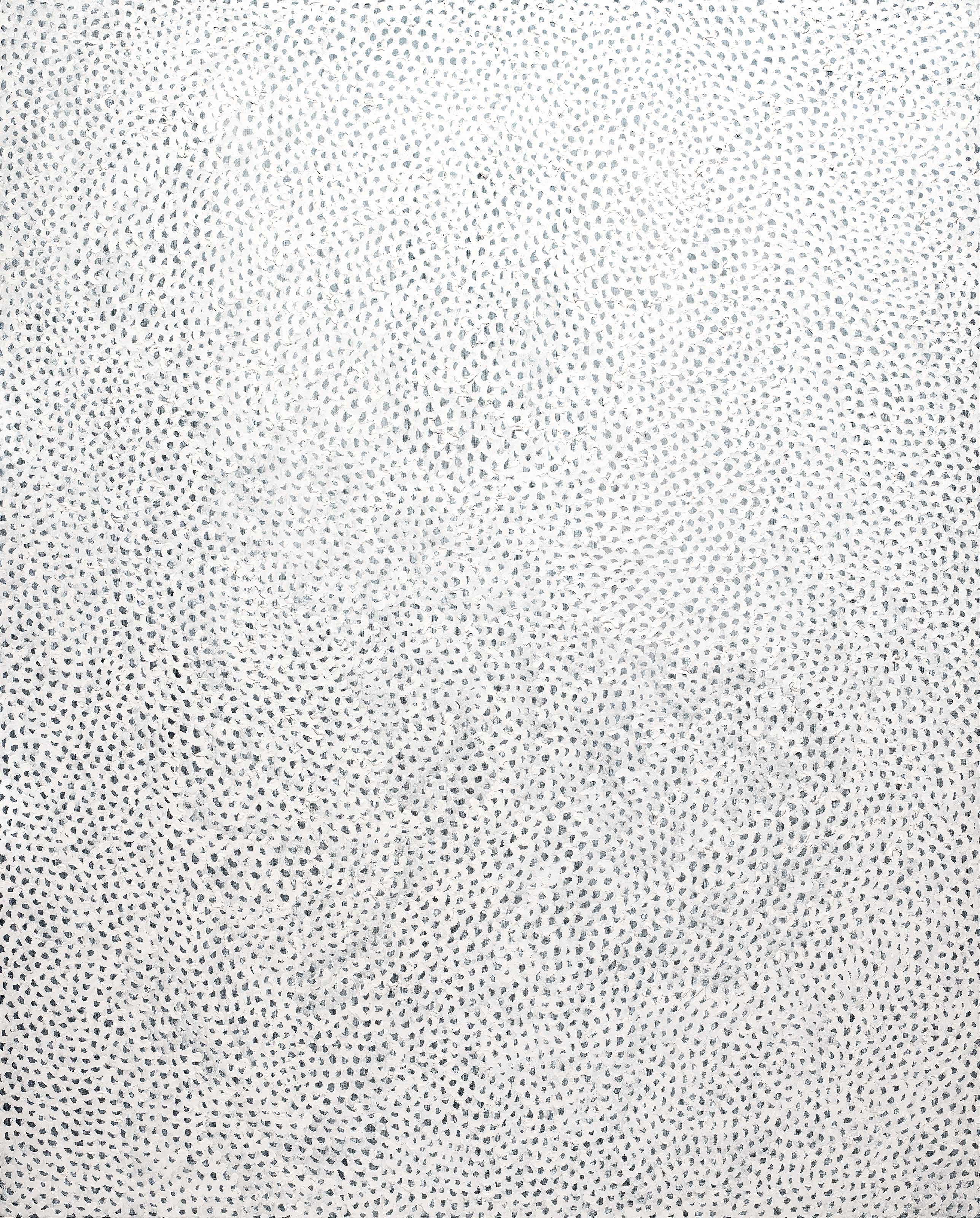 INFINITY-NETS (TWQPA)