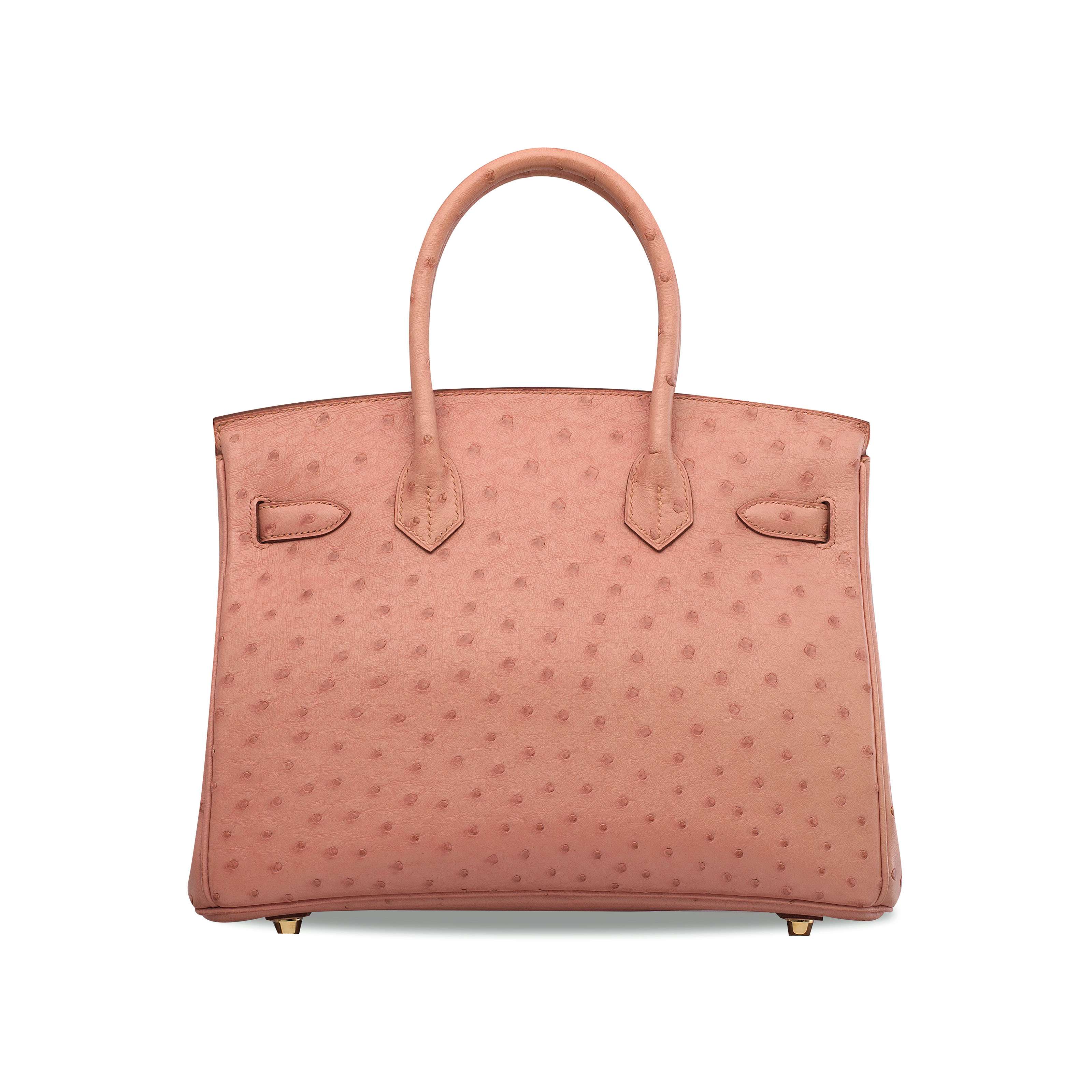 A TERRE CUITE OSTRICH BIRKIN 30 WITH GOLD HARDWARE auctions price archive