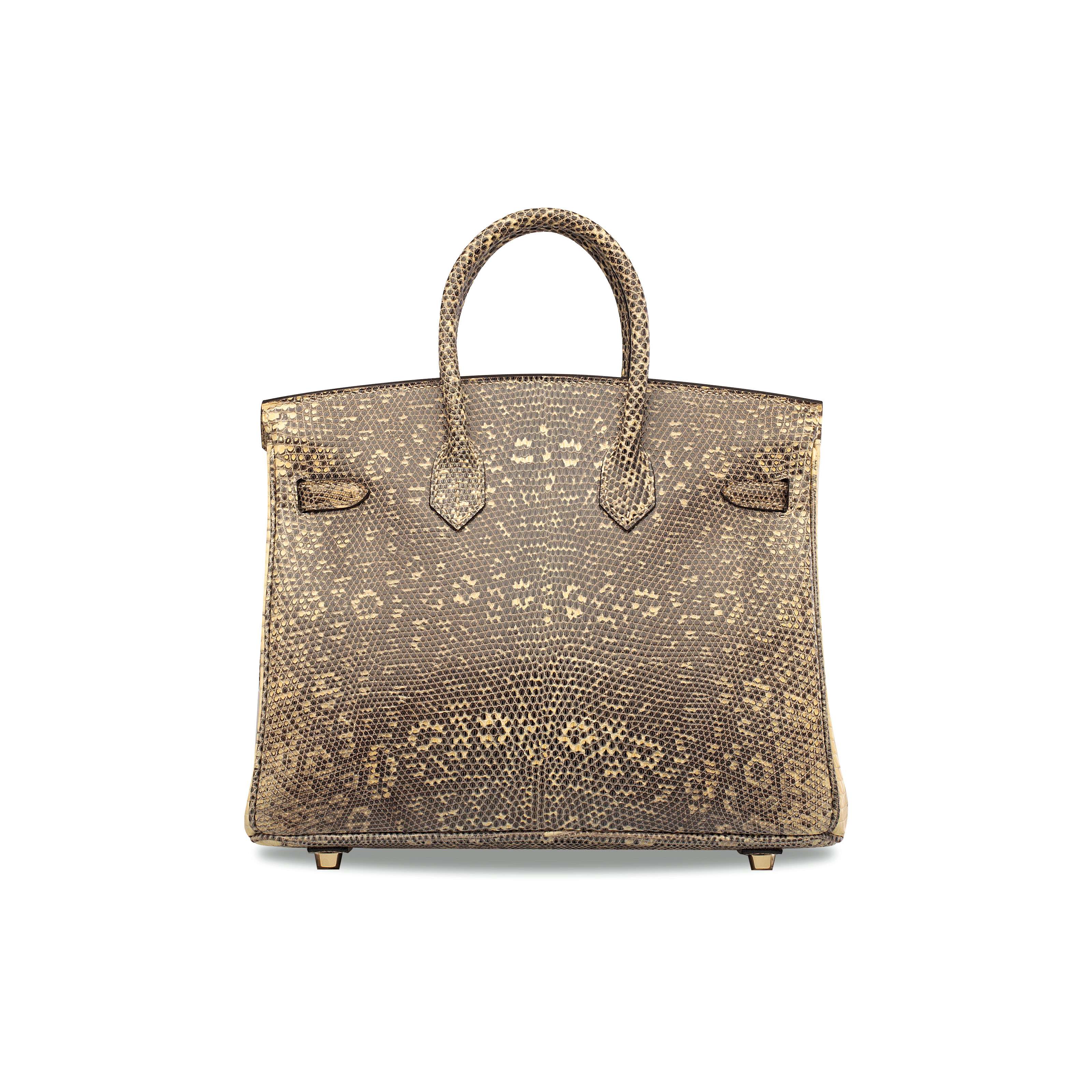 A RARE, SHINY OMBRÃ SALVATOR LIZARD BIRKIN 25 WITH GOLD HARDWARE , HERMÃS, 2007 | Christie's