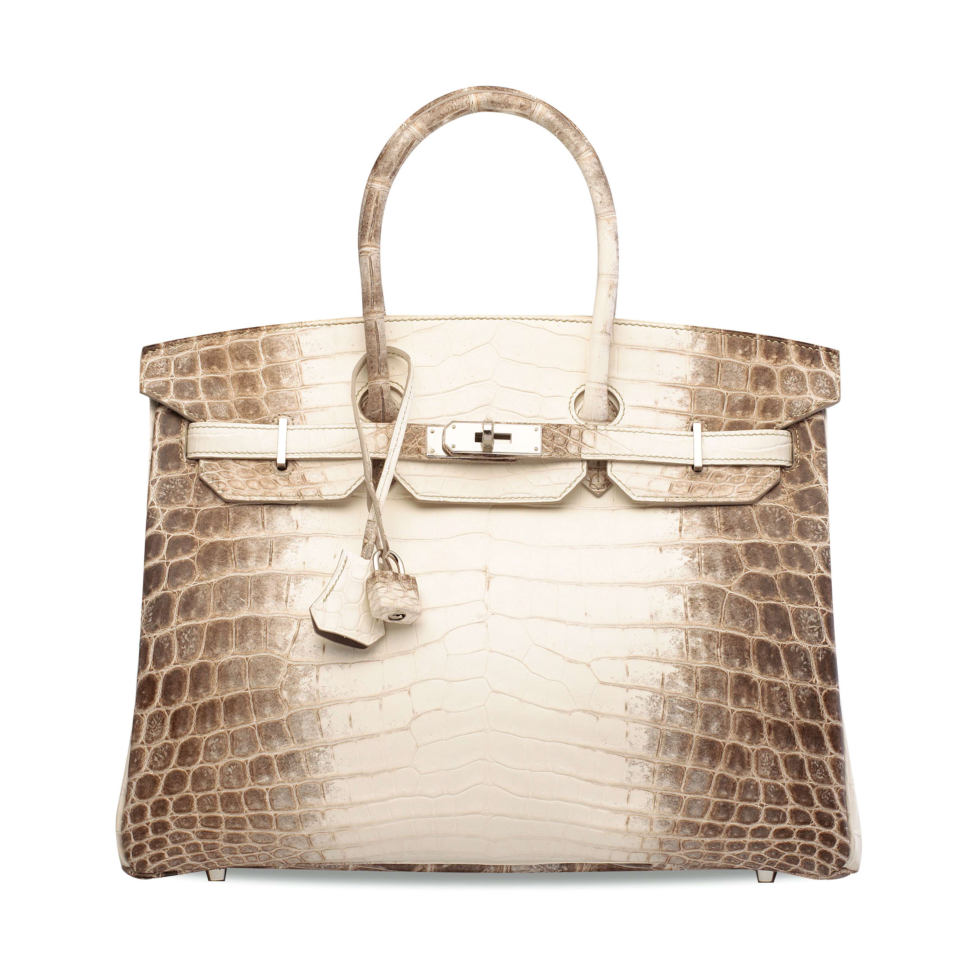 A RARE MATTE WHITE  HIMALAYA  NILOTICUS CROCODILE  BIRKIN  35 