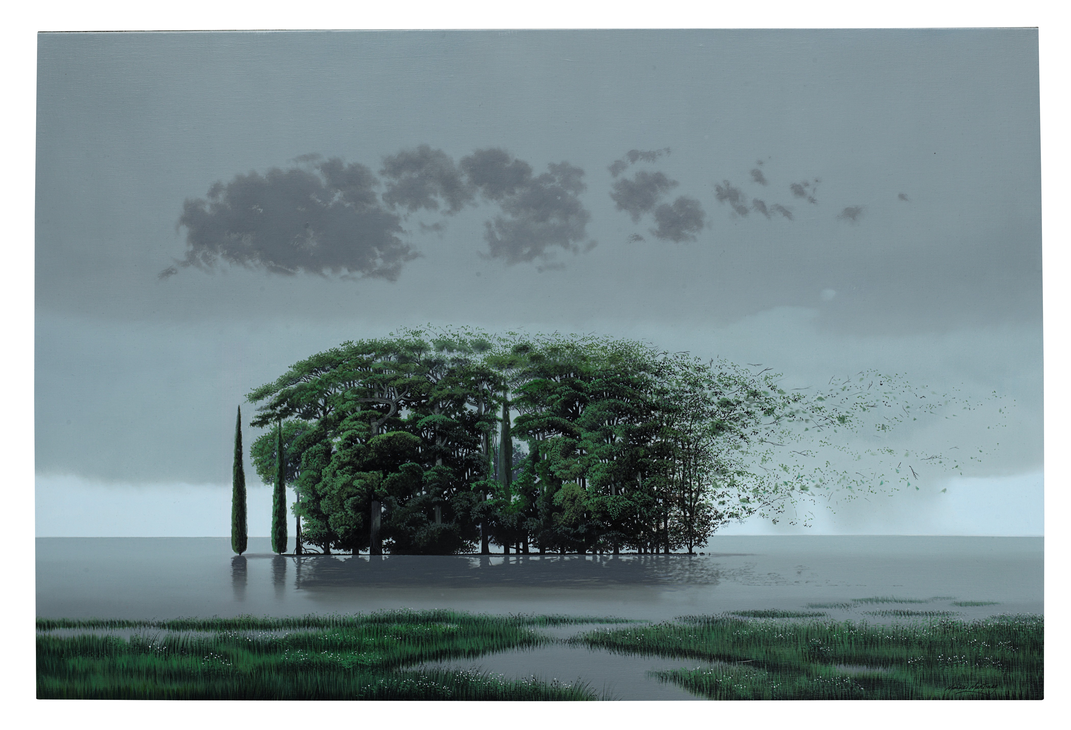 Maikel Martinez Belt Parkway: What Really Happened Behind That Viral Video