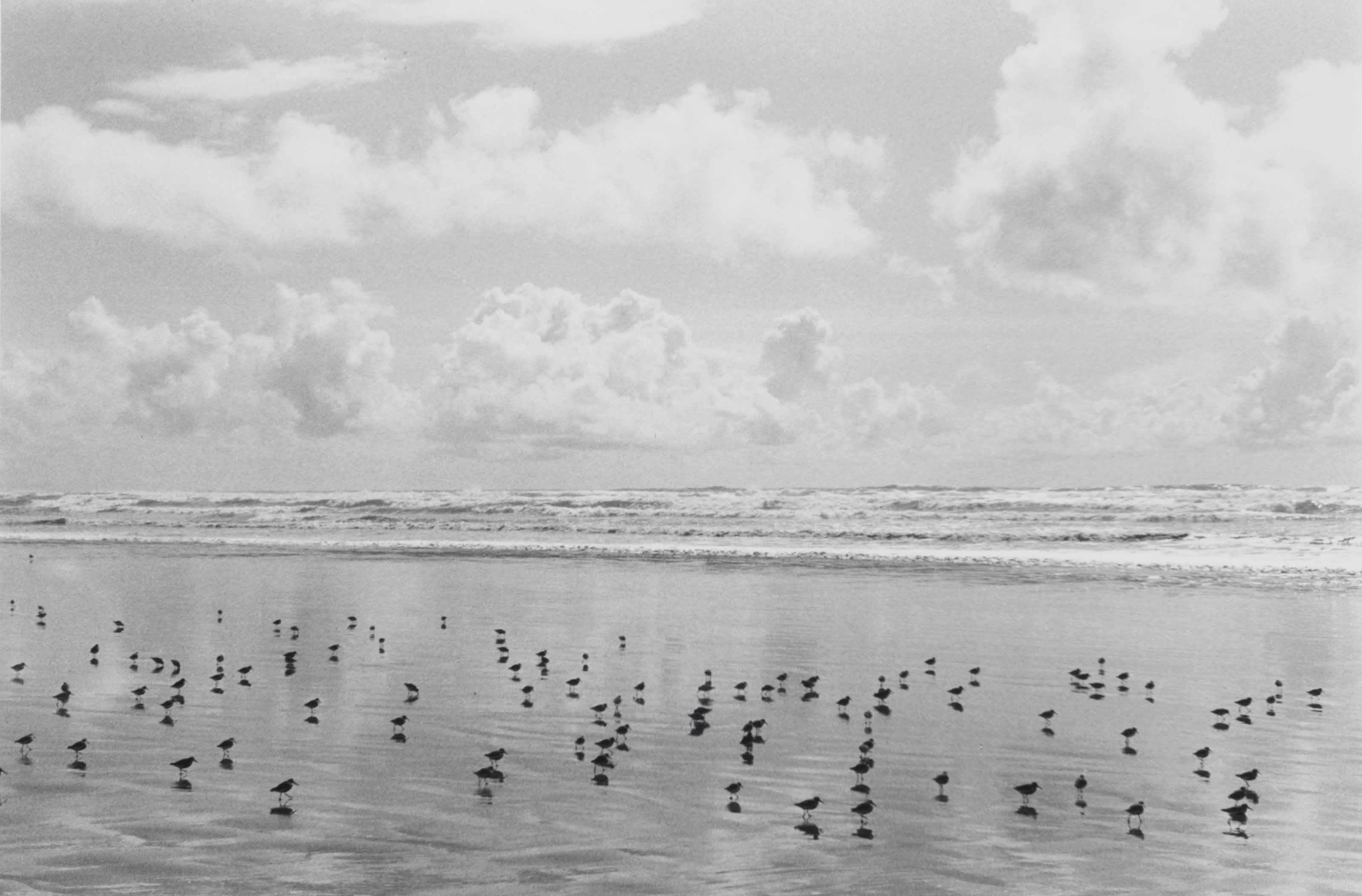 Sense of place