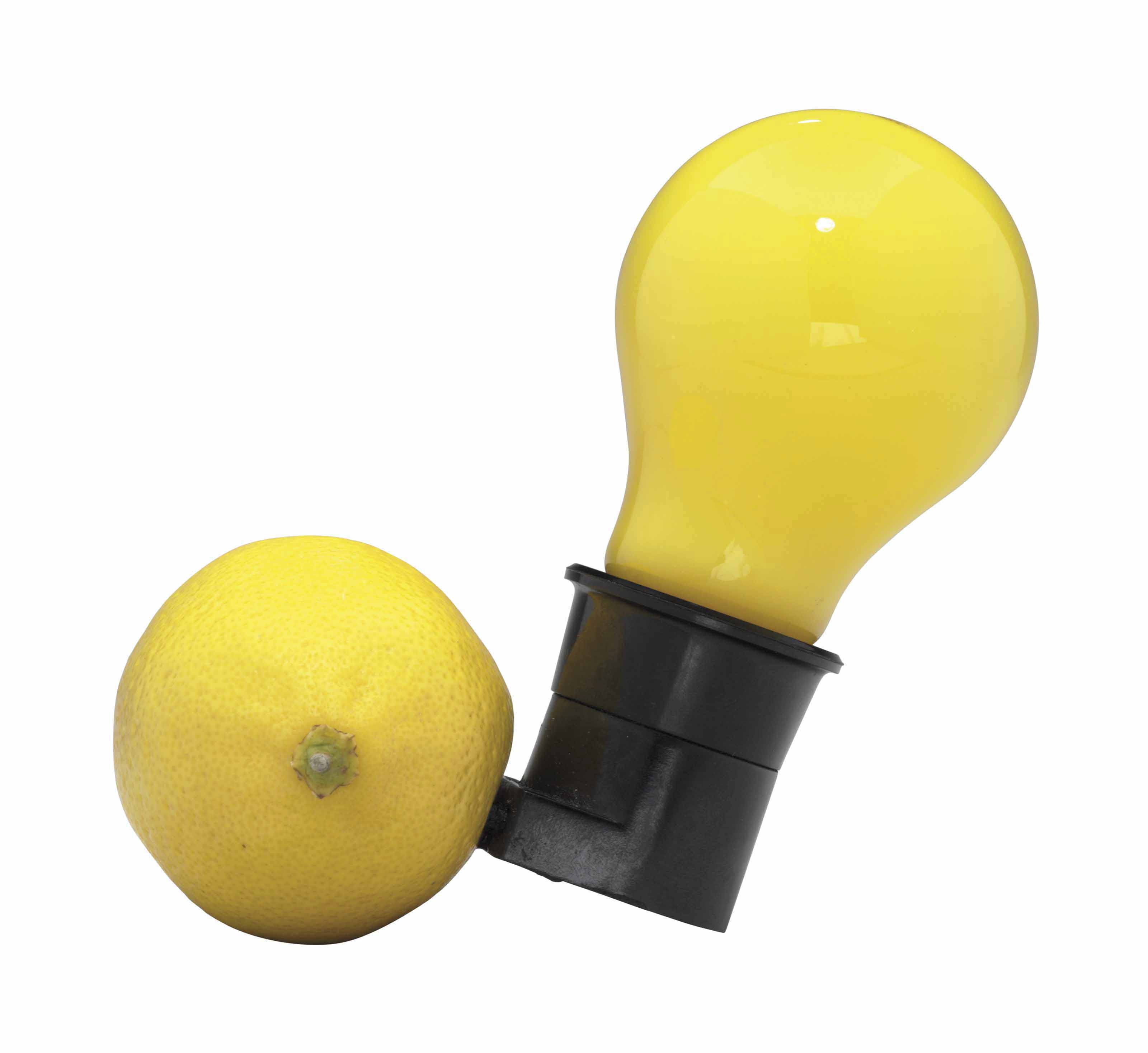 JOSEPH BEUYS (19211986) , CapriBatterie Christie's