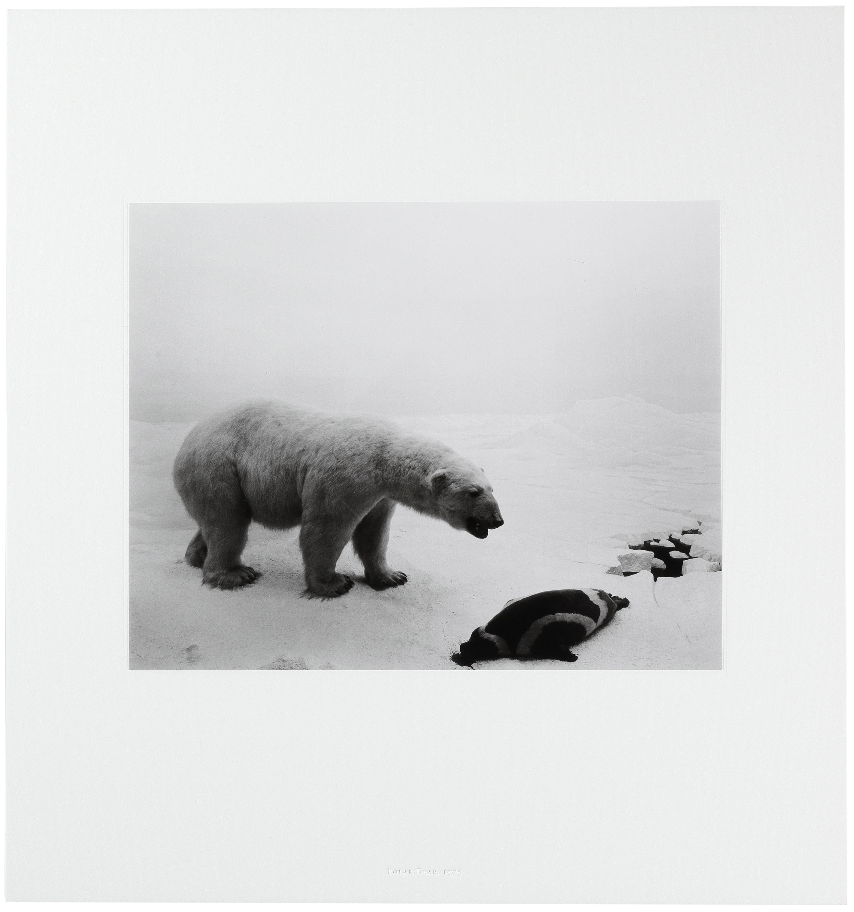 杉本博司 ポスター POLAR BEAR SUGIMOTO Hiroshi Sugimoto 杉本博司| Polar Bear 北極熊| Contemporary