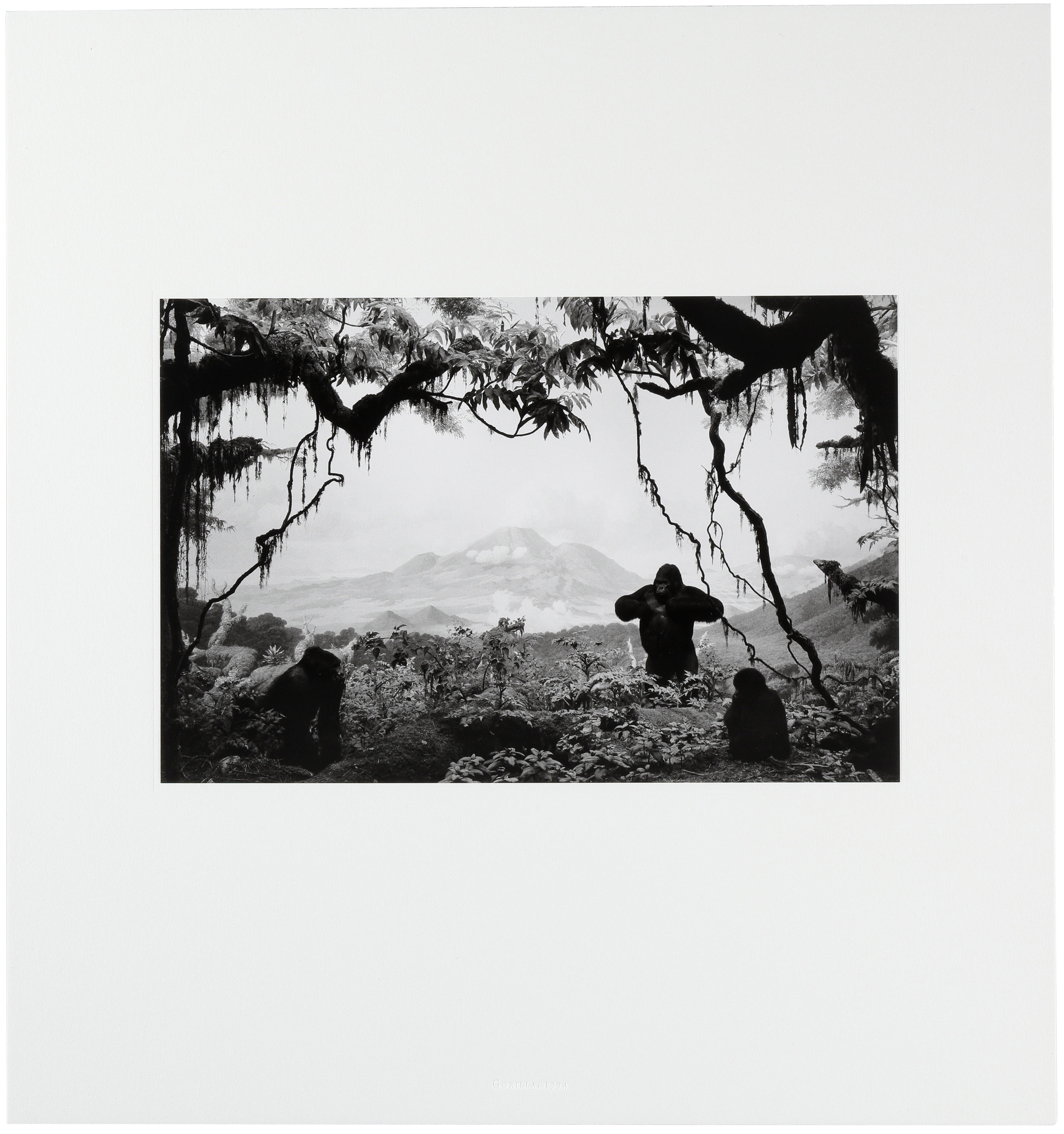 杉本博司／Hiroshi Sugimoto | IMAPEDIA | IMA ONLINE