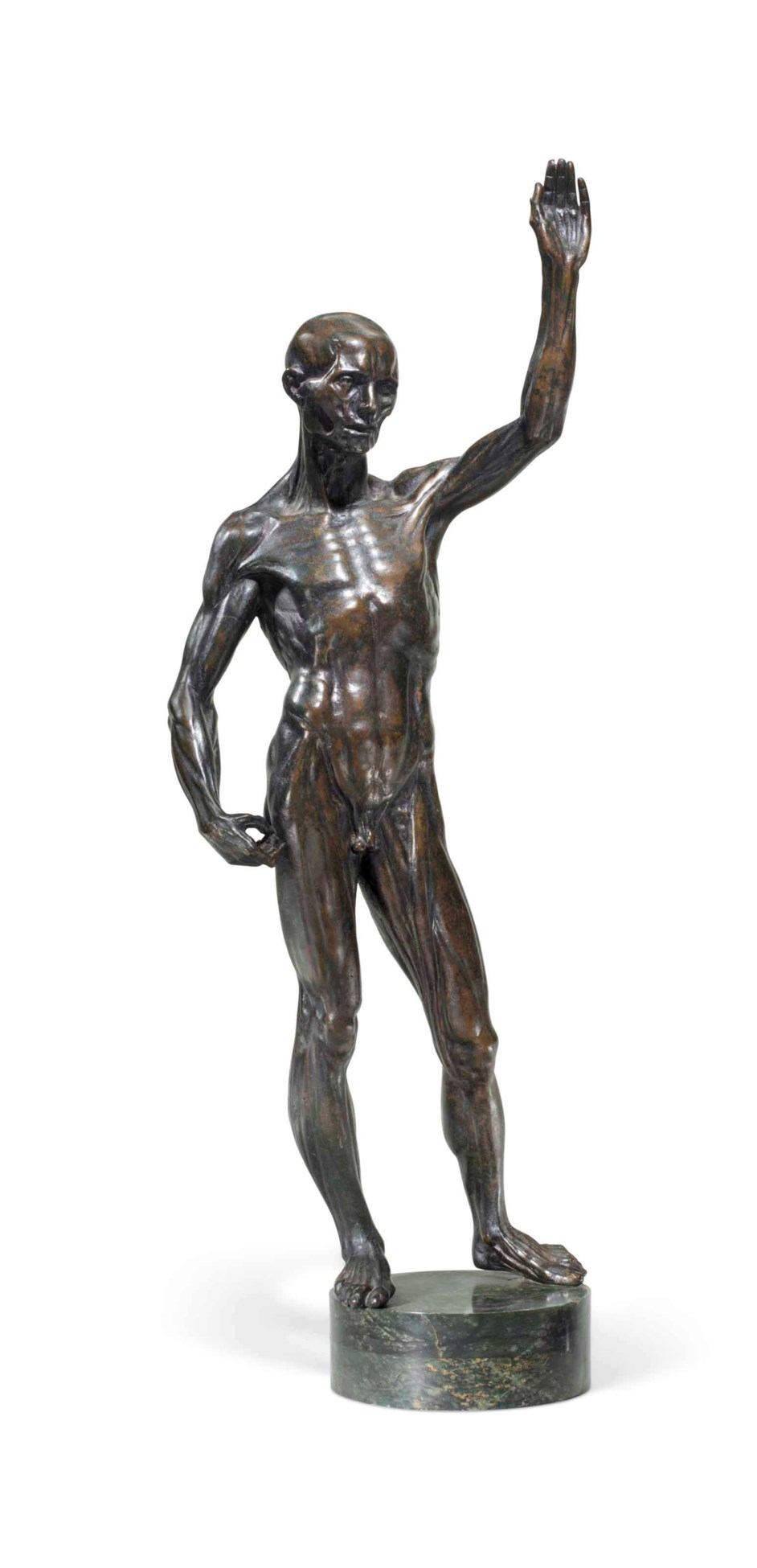 ecorche statue