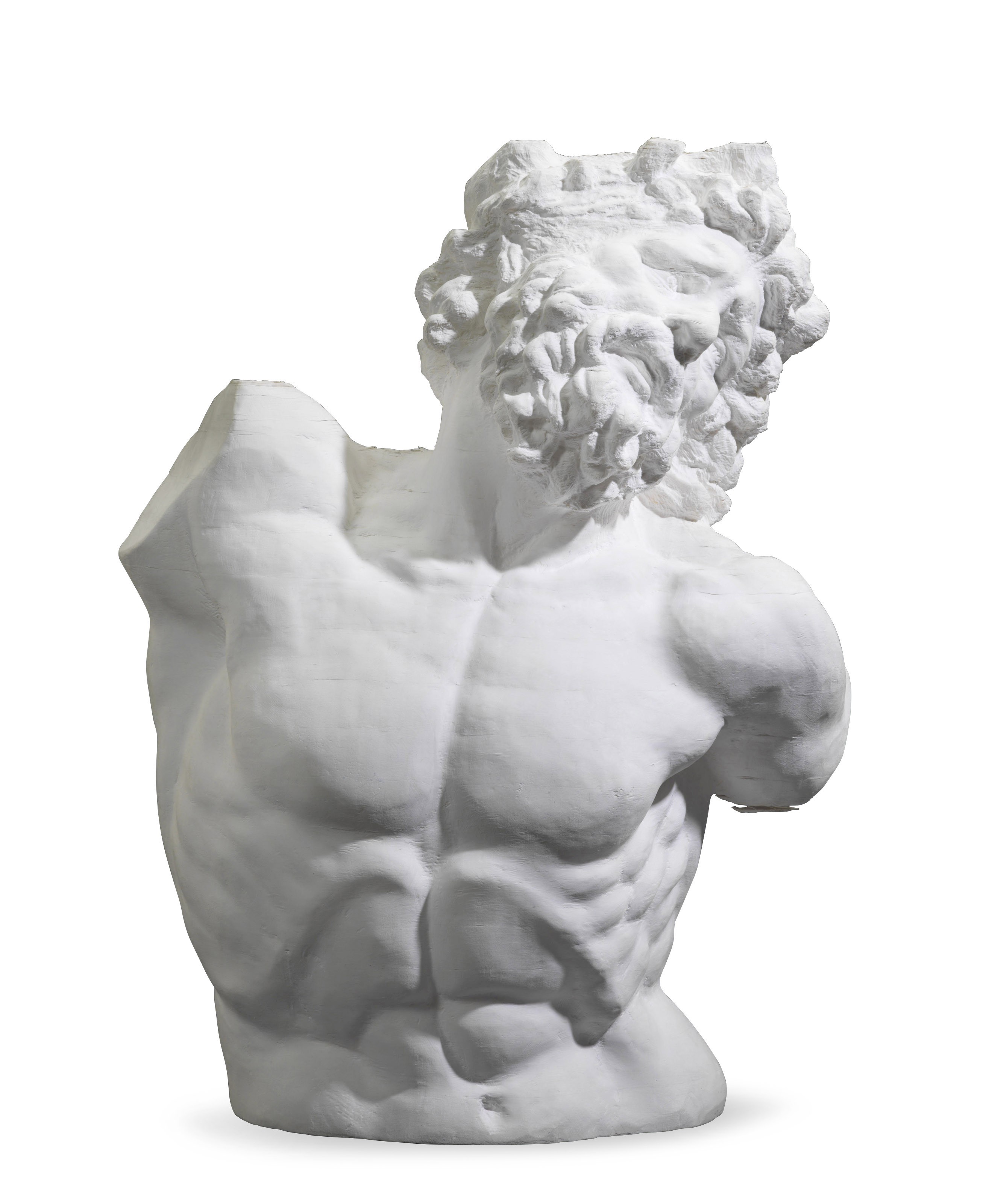Catalog image of Bust of Laocoonte