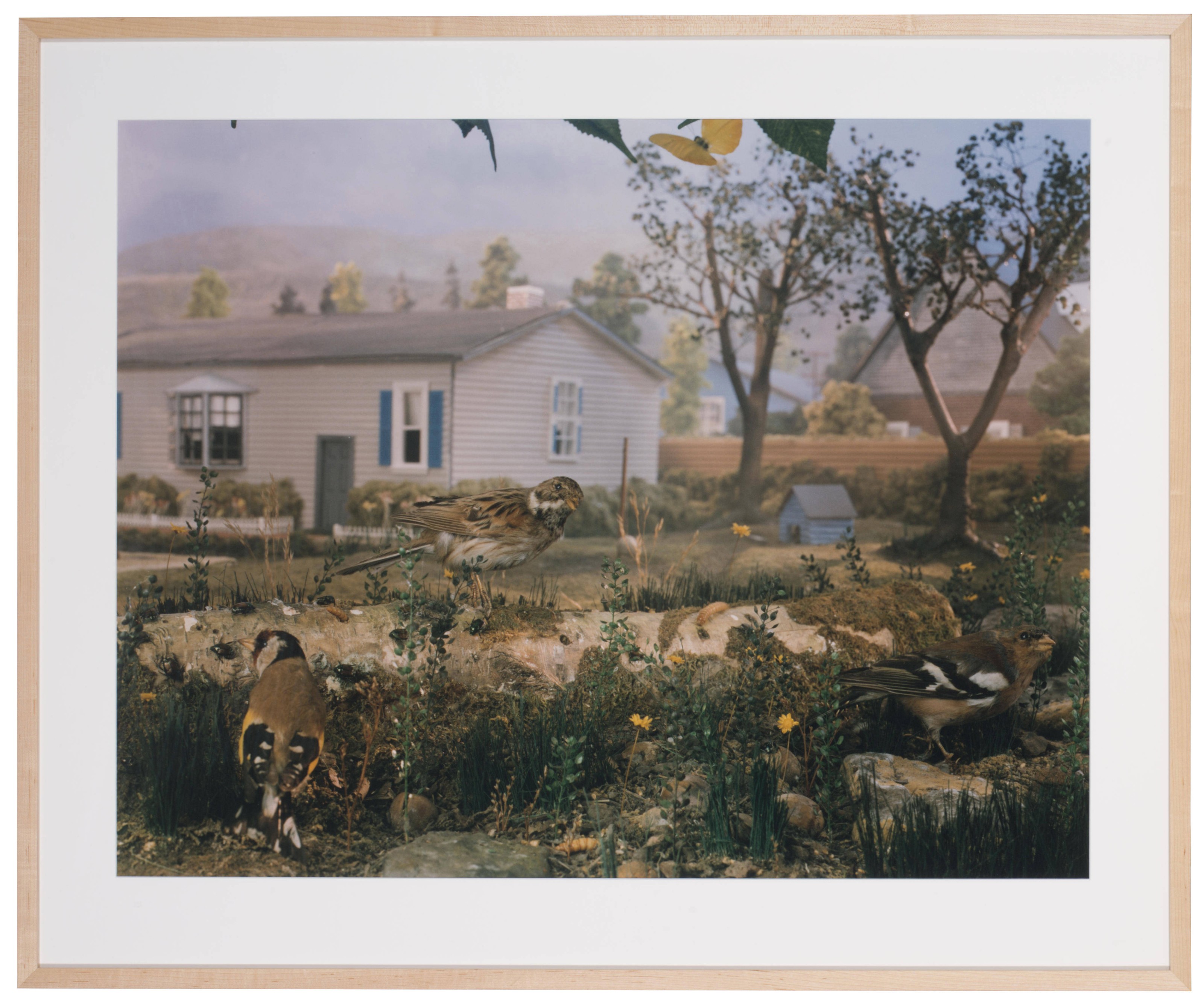 2018_NYR_16334_0541_001(