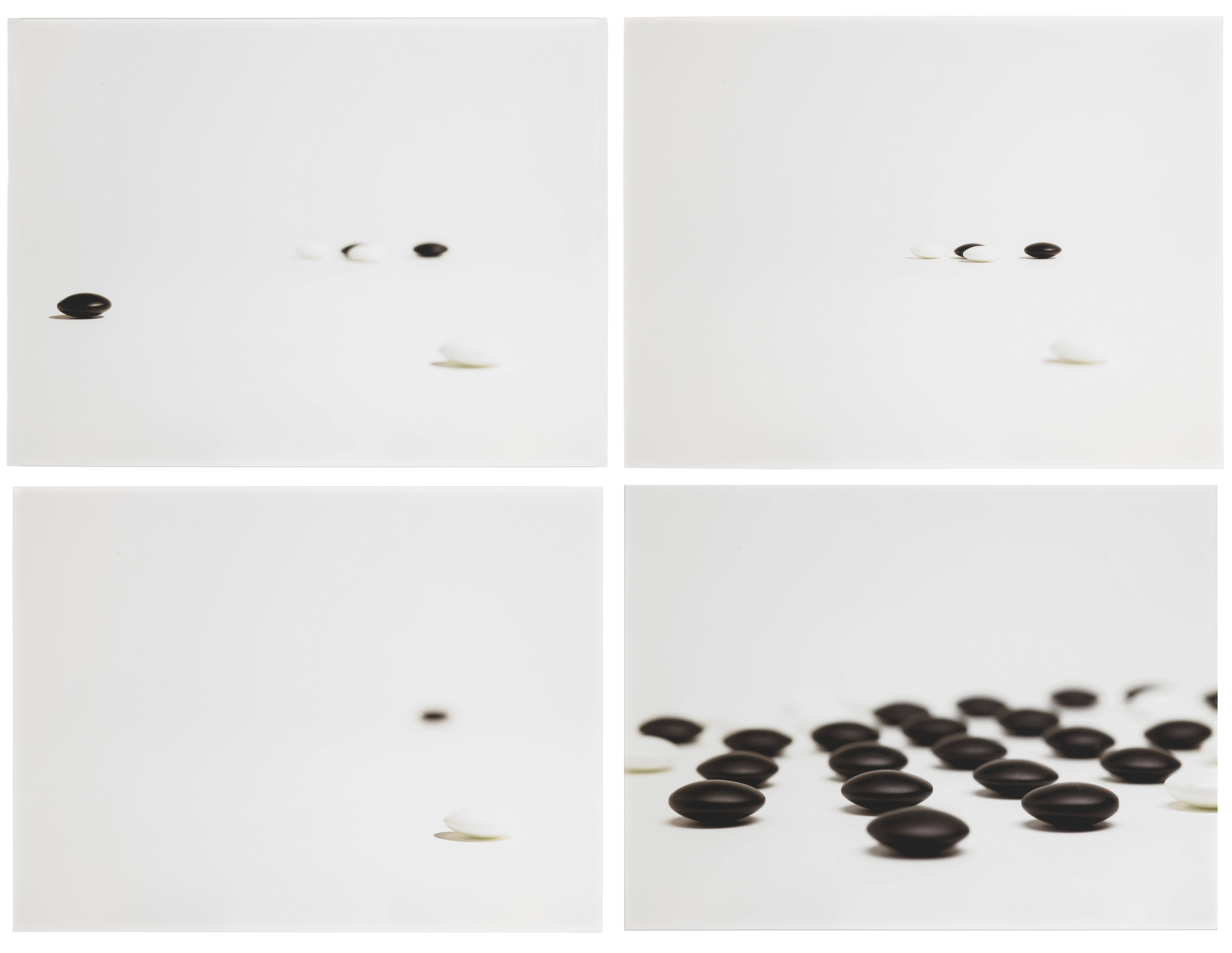 Catalog image of The Master of Go (after Yasumari Kawabata)
