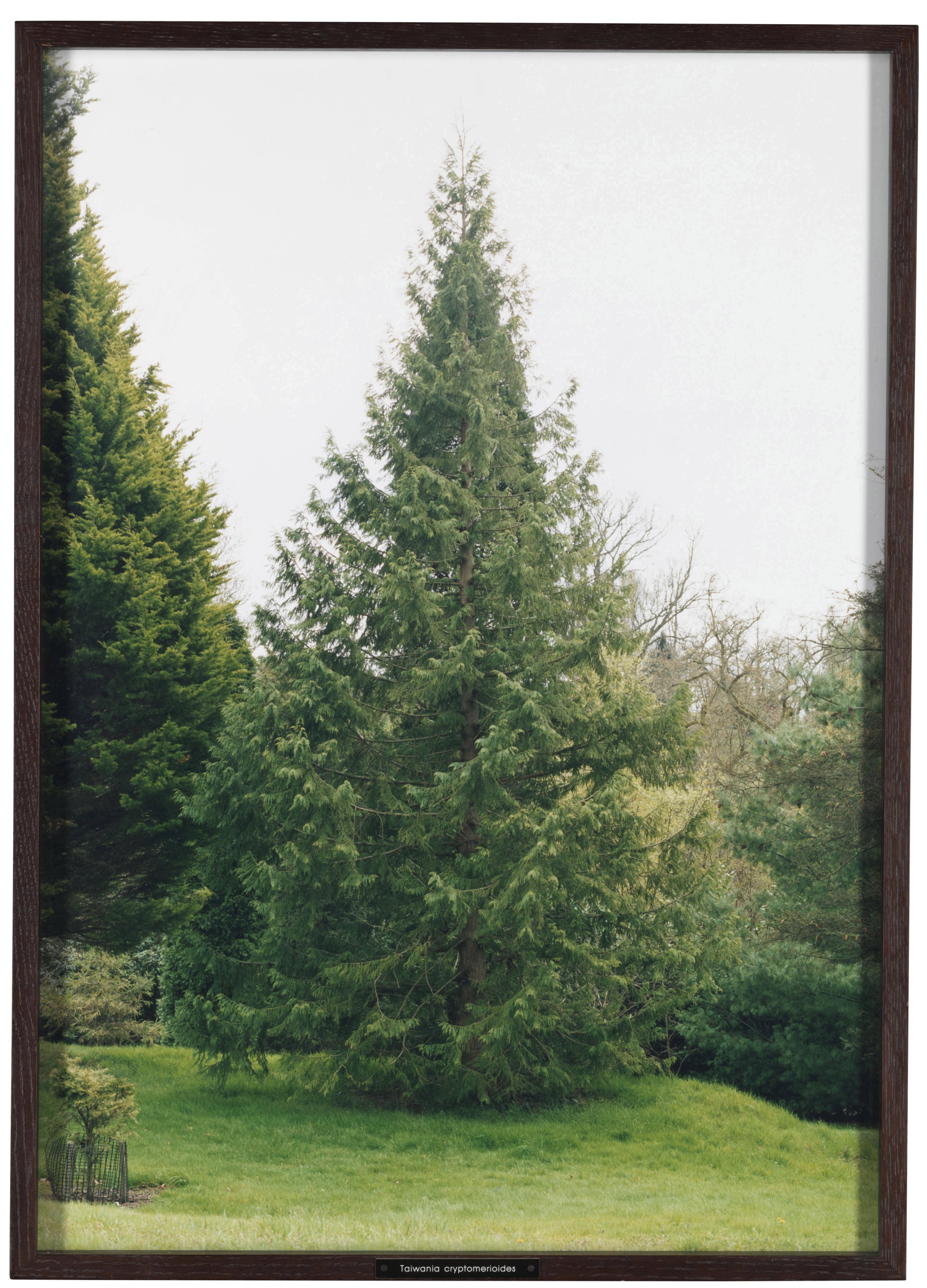 ULRICH GEBERT (B. 1976), Typus (tableau 9), 2005 | Christie's