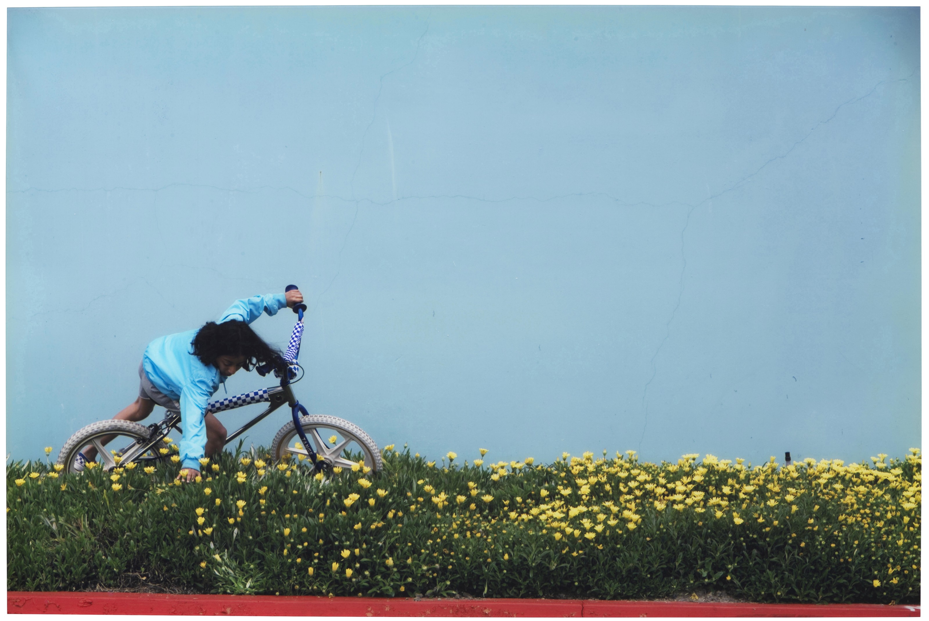 Catalog image of Still from Smother (BMX), 2006
