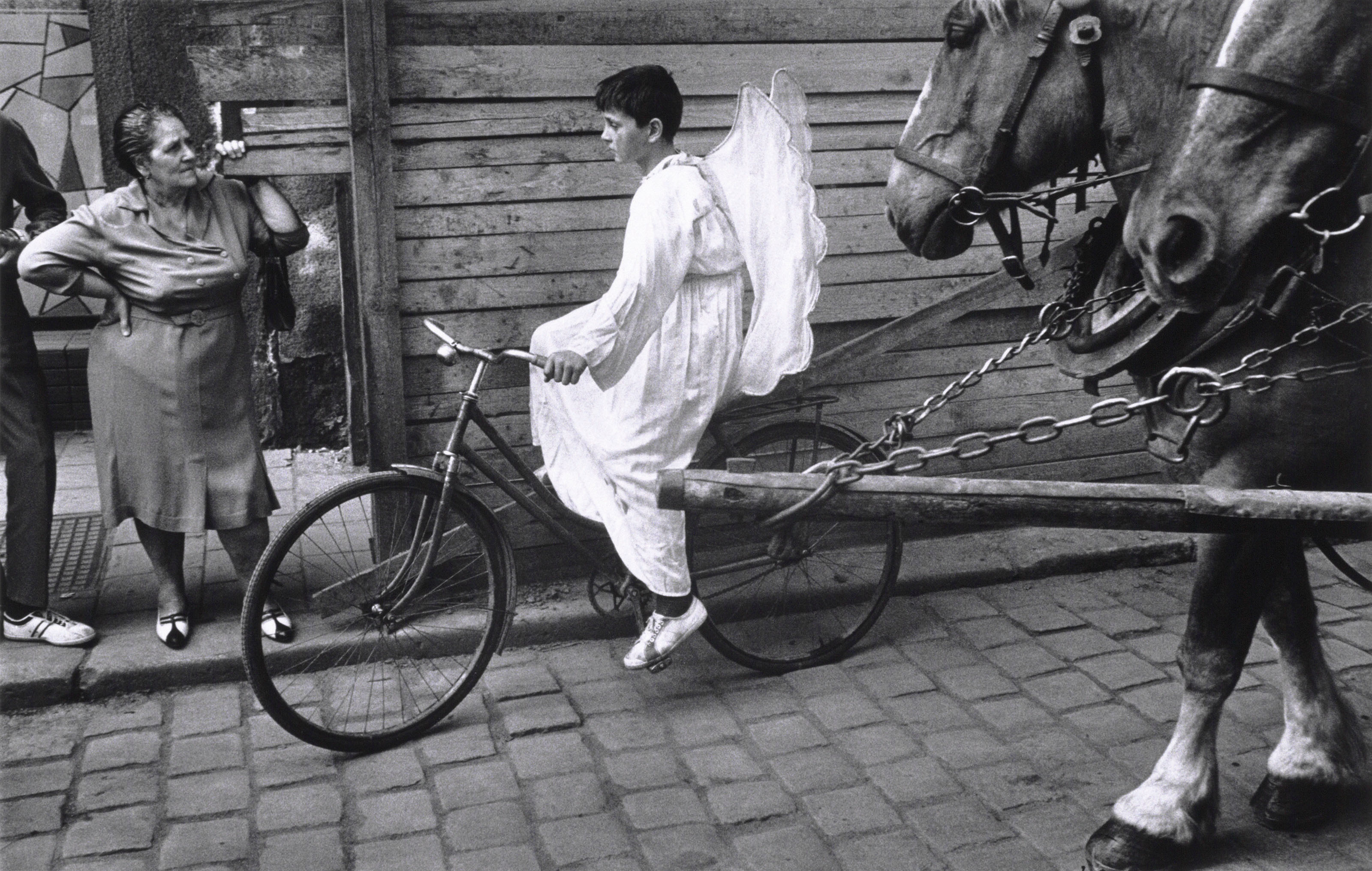 Koudelka2005