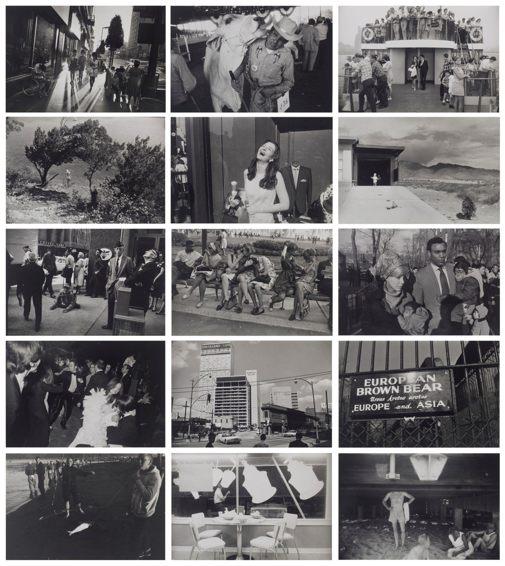 Garry winogrand for sale image