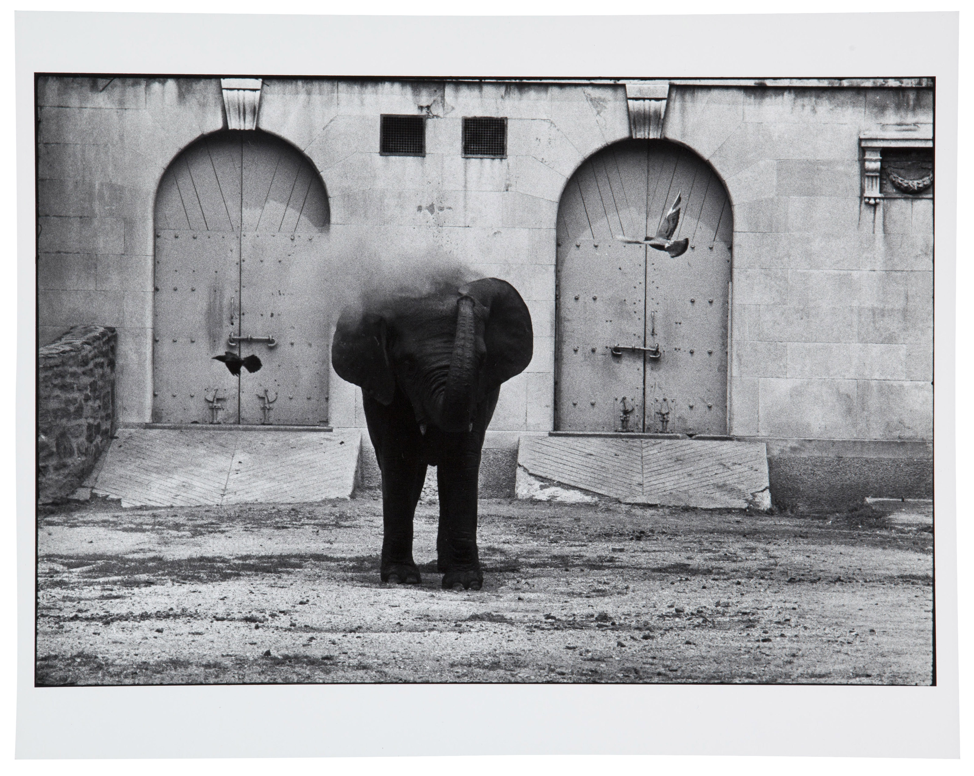 GARRY WINOGRAND (1928–1984), Central Park Zoo, New York, c. 1963
