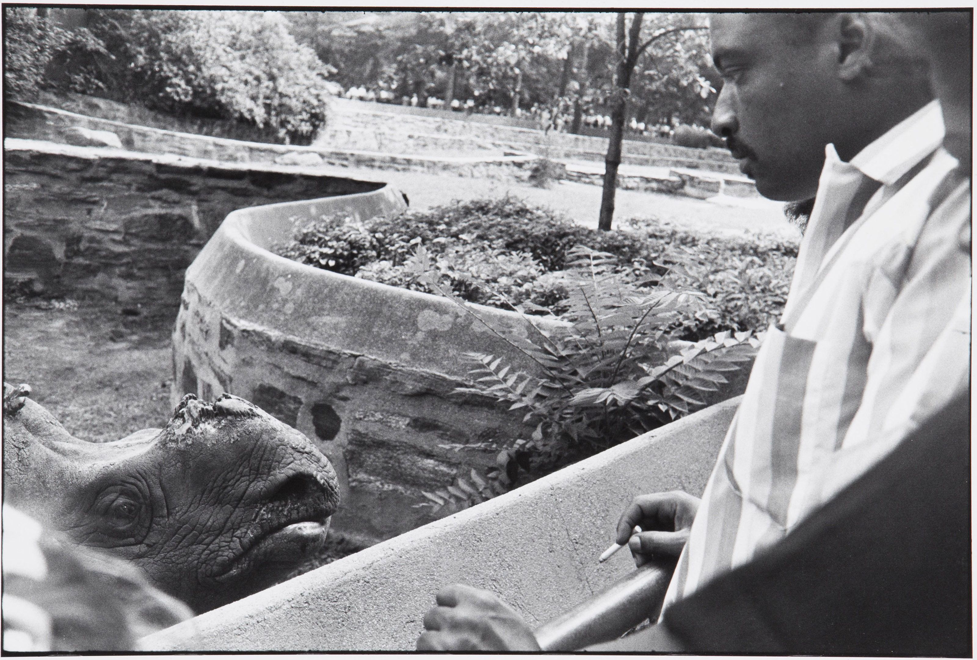 GARRY WINOGRAND (1928–1984), Bronx Zoo, New York, 1963 | Christie's
