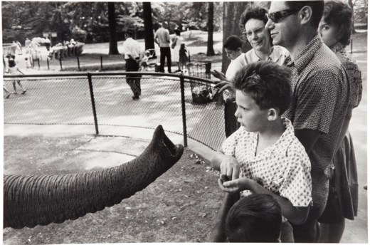 GARRY WINOGRAND (1928–1984), Bronx Zoo, New York, 1963 ...