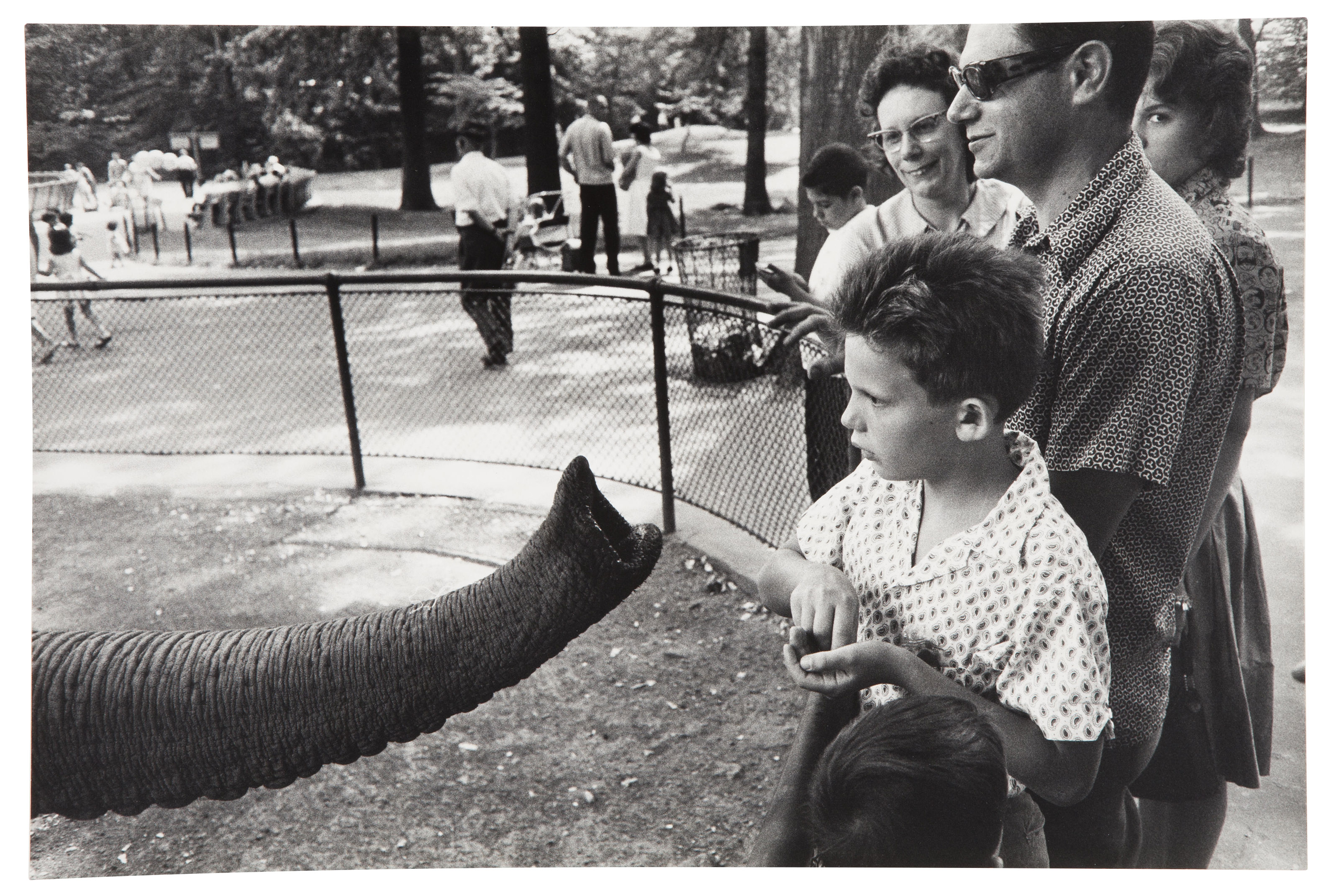 GARRY WINOGRAND (1928–1984), Bronx Zoo, New York, 1963 | Christie's