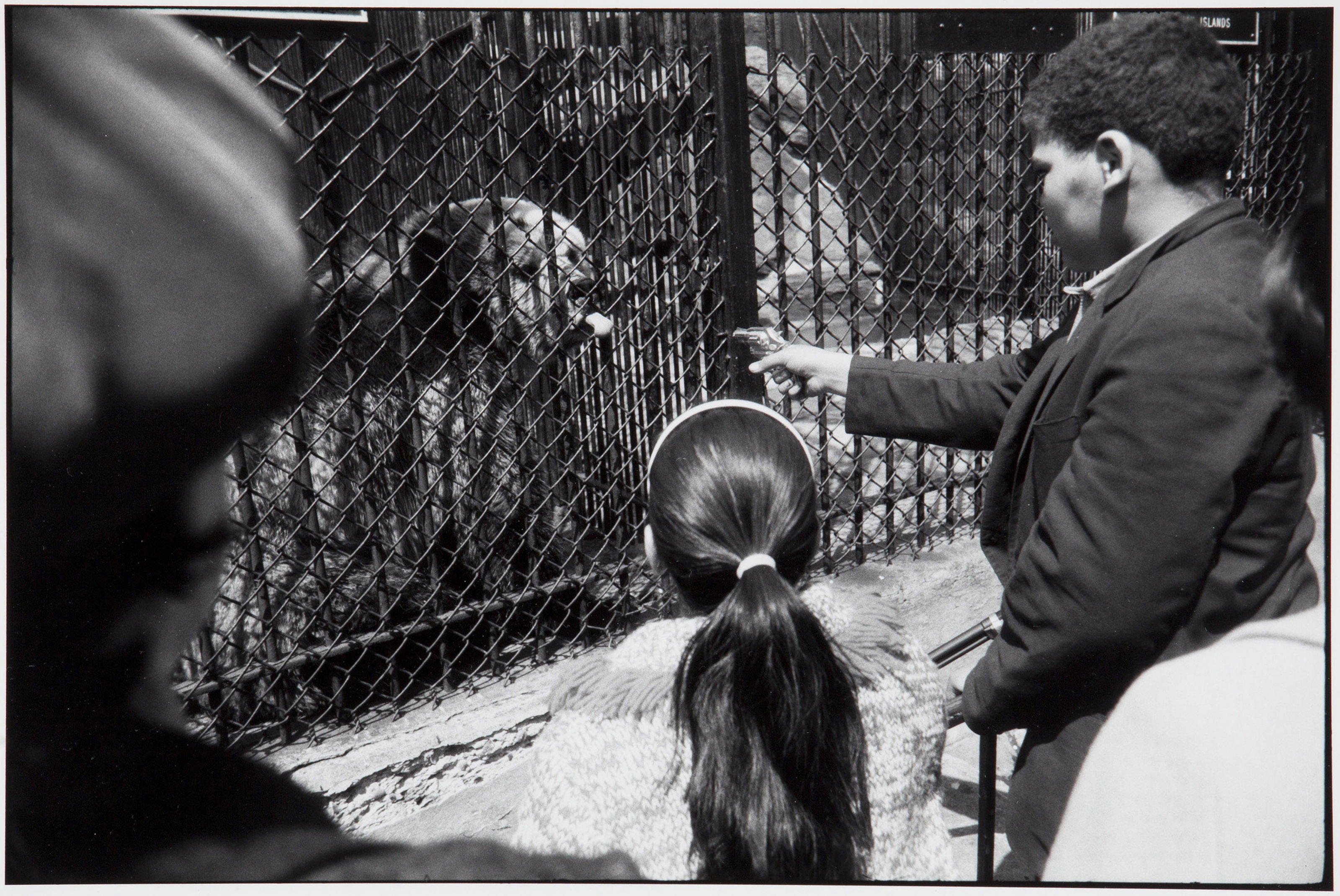 GARRY WINOGRAND (1928–1984), Bronx Zoo, New York, 1963 | Christie's