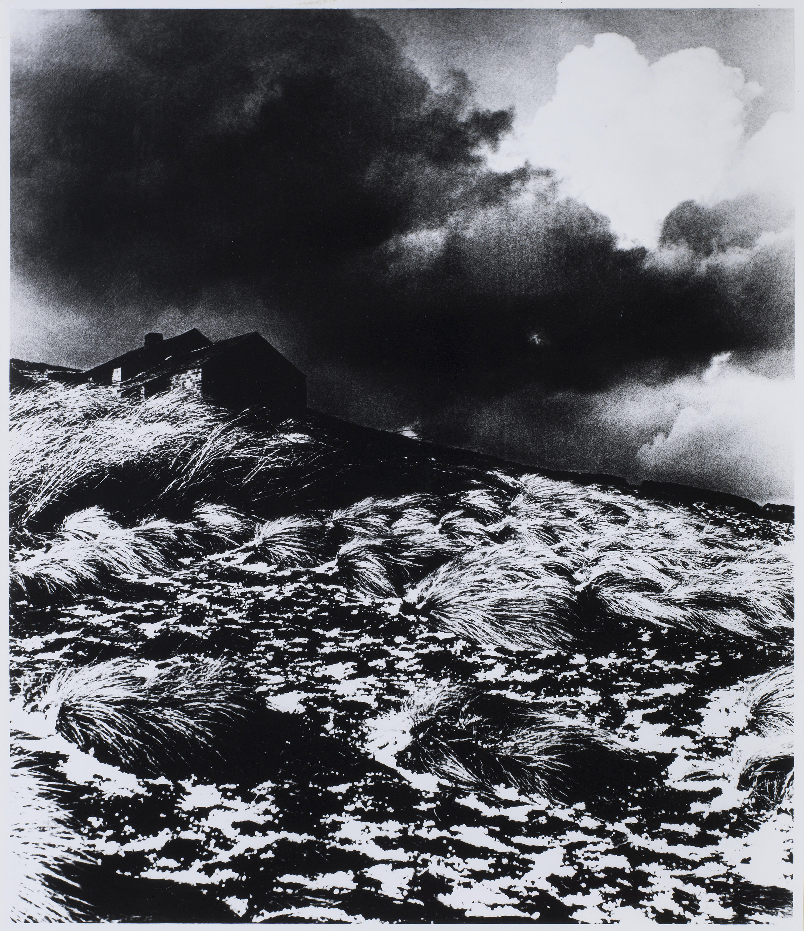 BILL BRANDT (1904–1983), Gull's Nest on Mid-Summer Night, Isle of