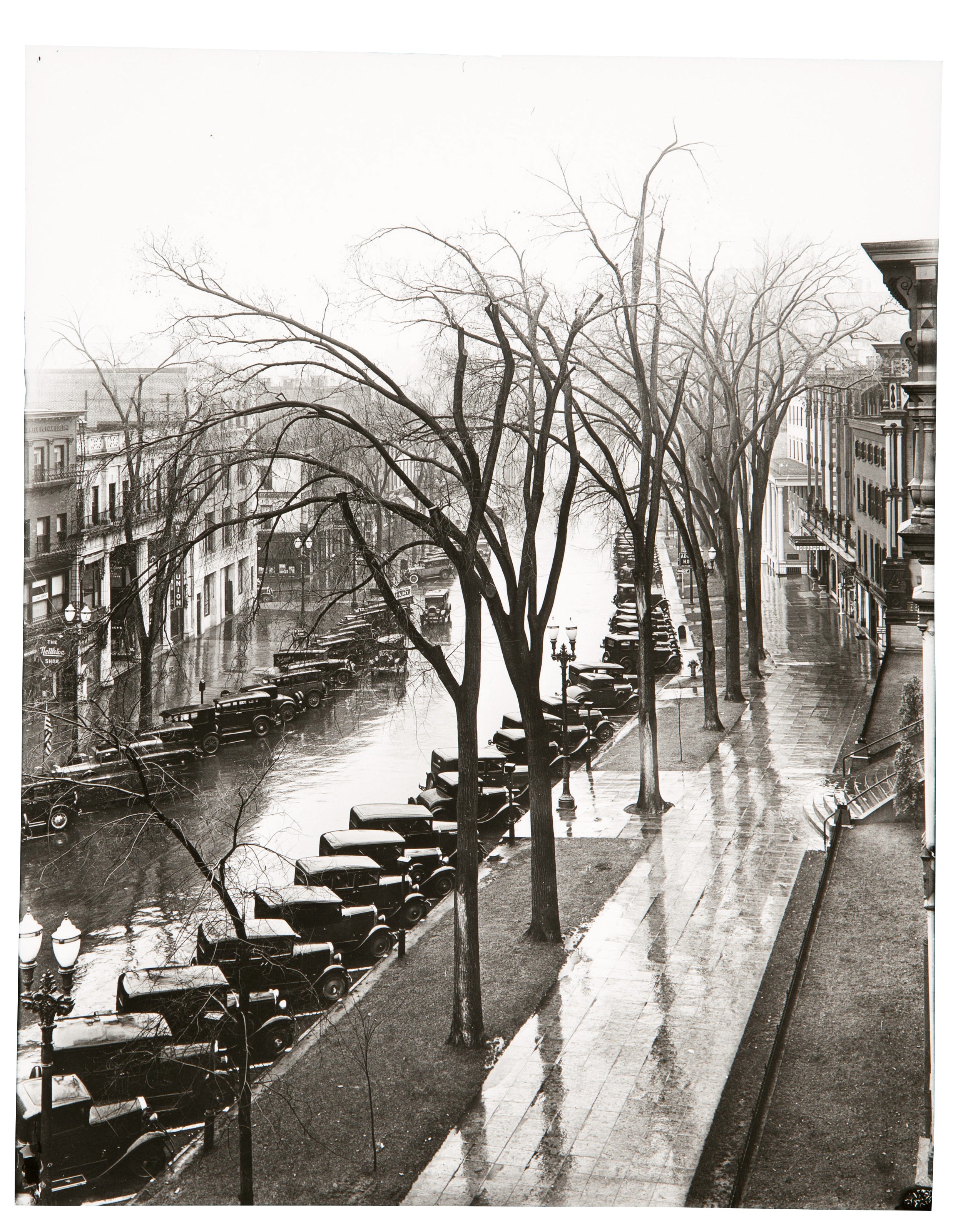 Walker evans new york cheap
