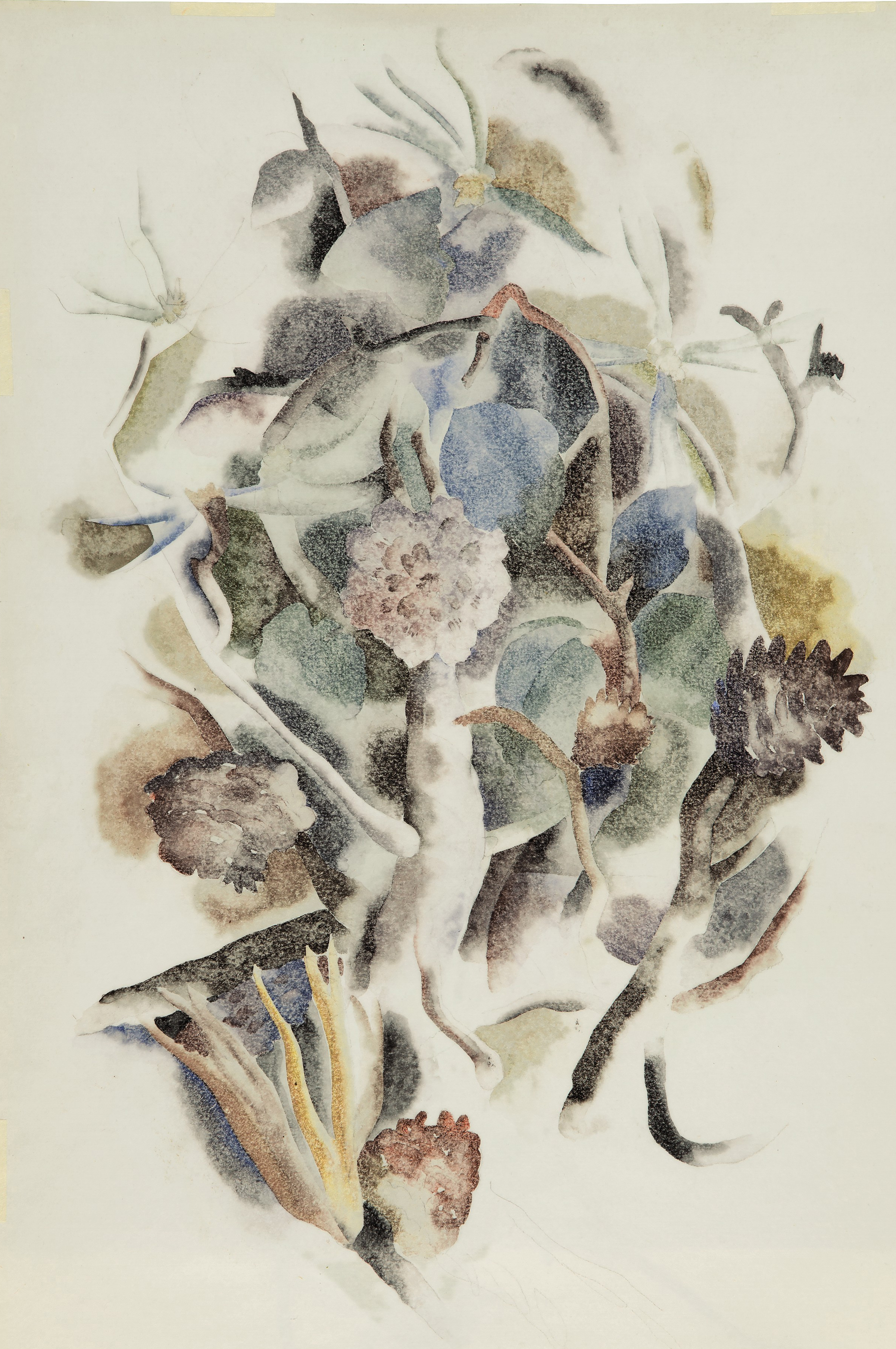 Charles Demuth 1883 1935 Zinnias A Double Sided Work 20th