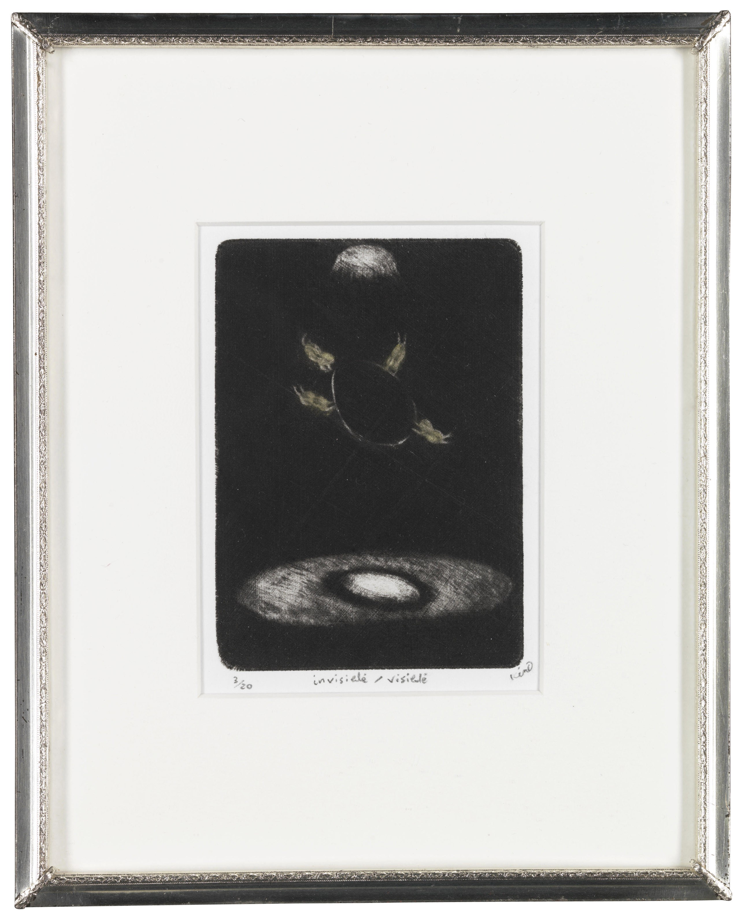 Catalog image of Invisible, Visible