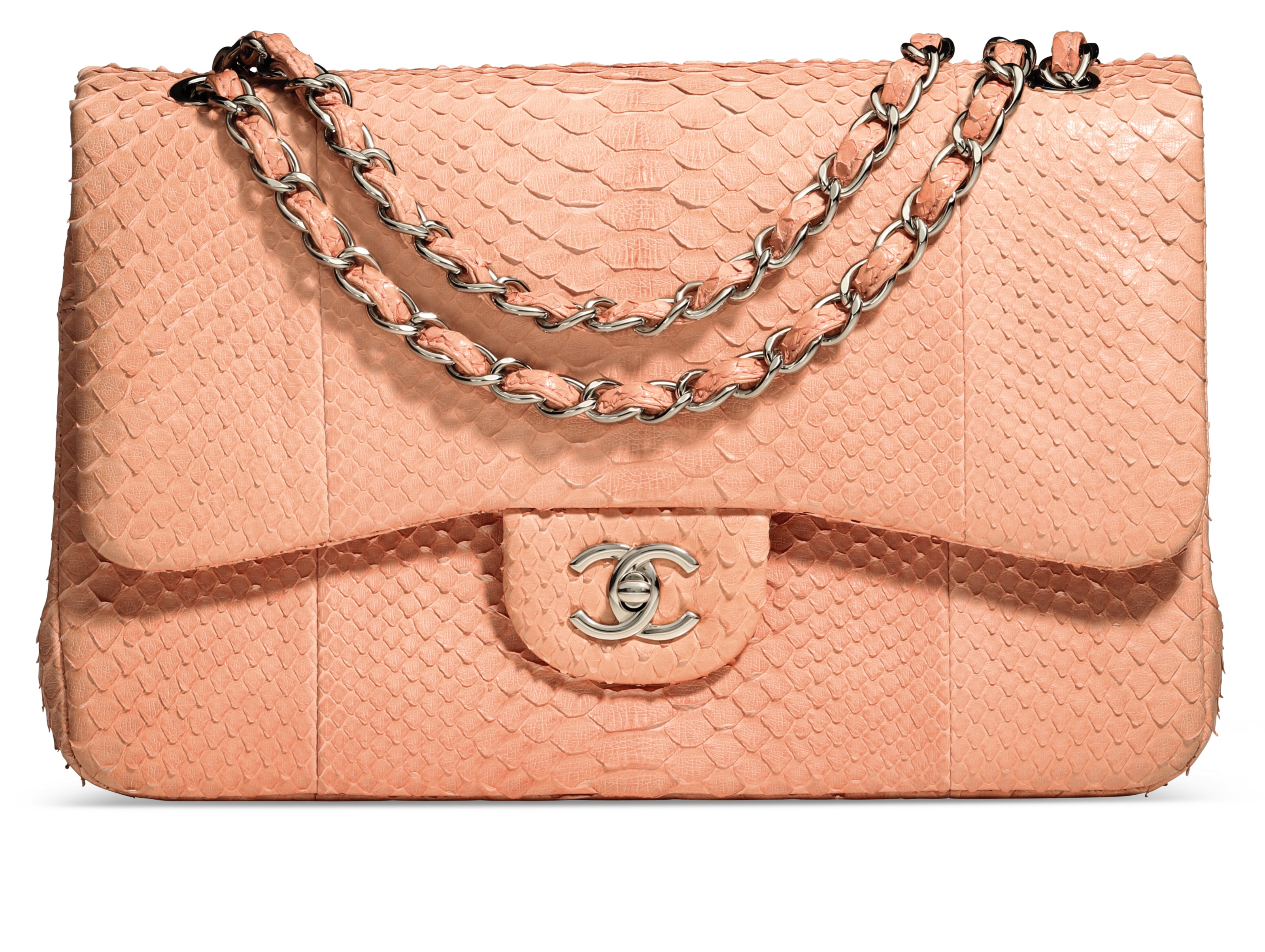 chanel snakeskin bag