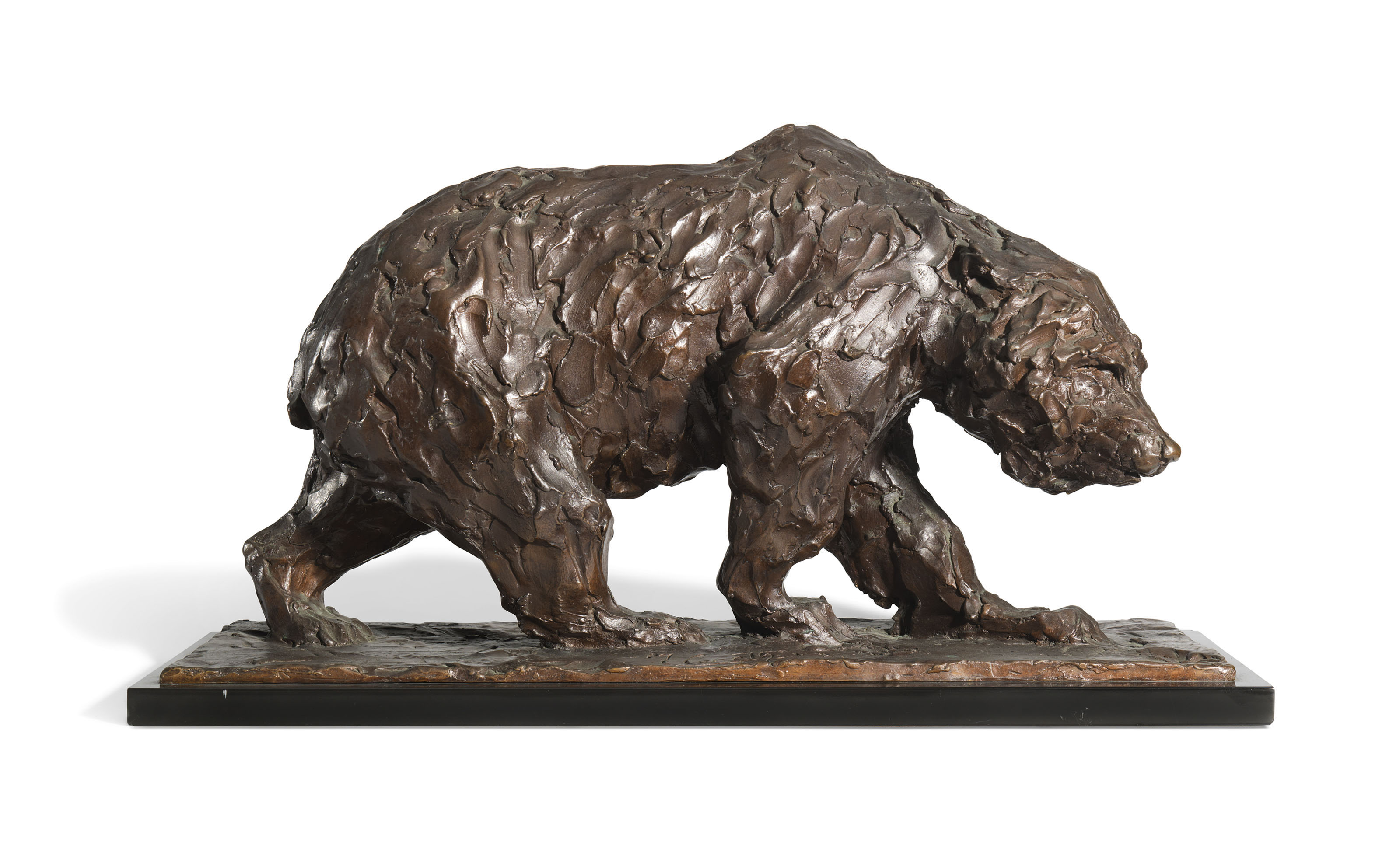 Bear