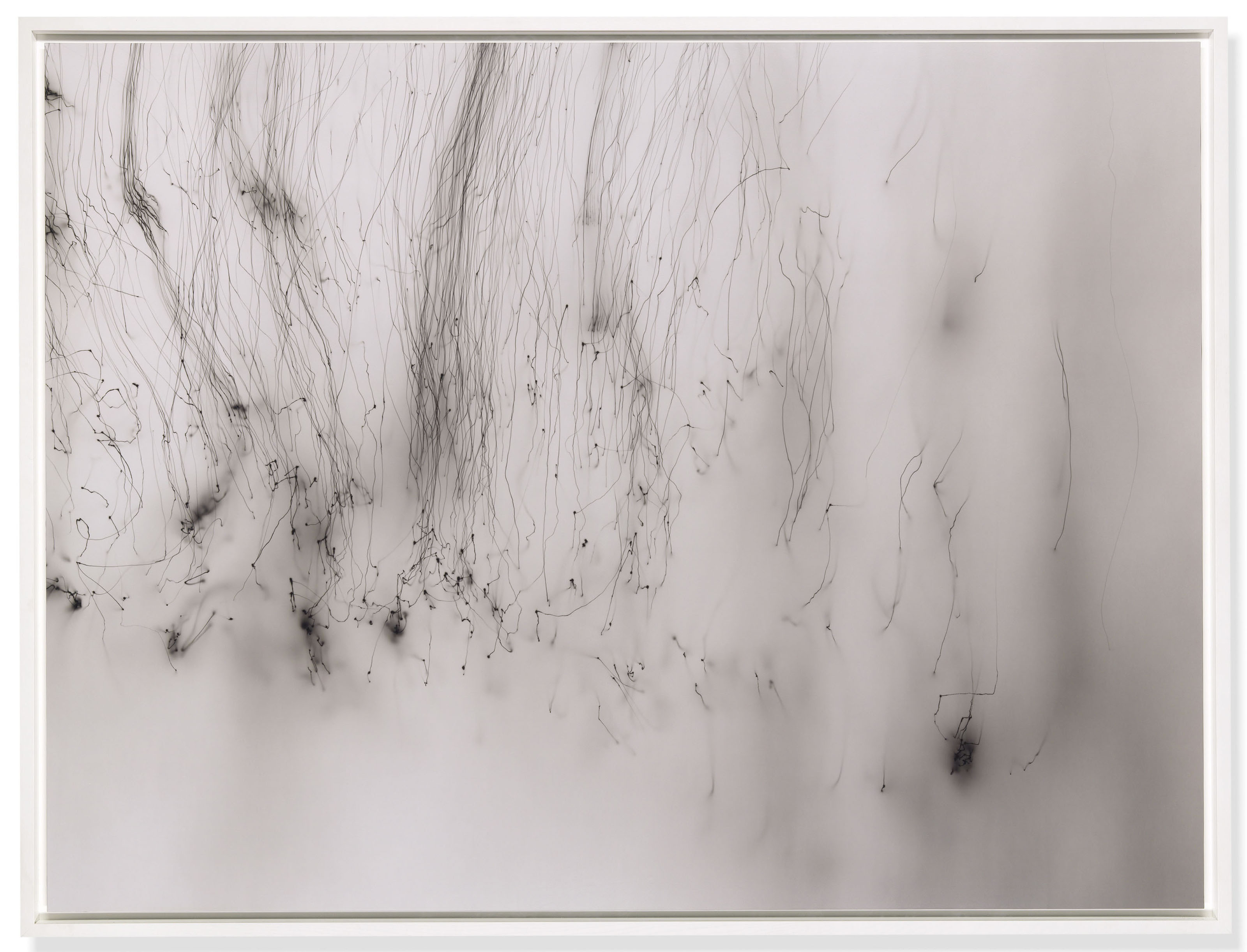 Wolfgang Tillmans (B. 1968) , Freischwimmer 207 Christie's