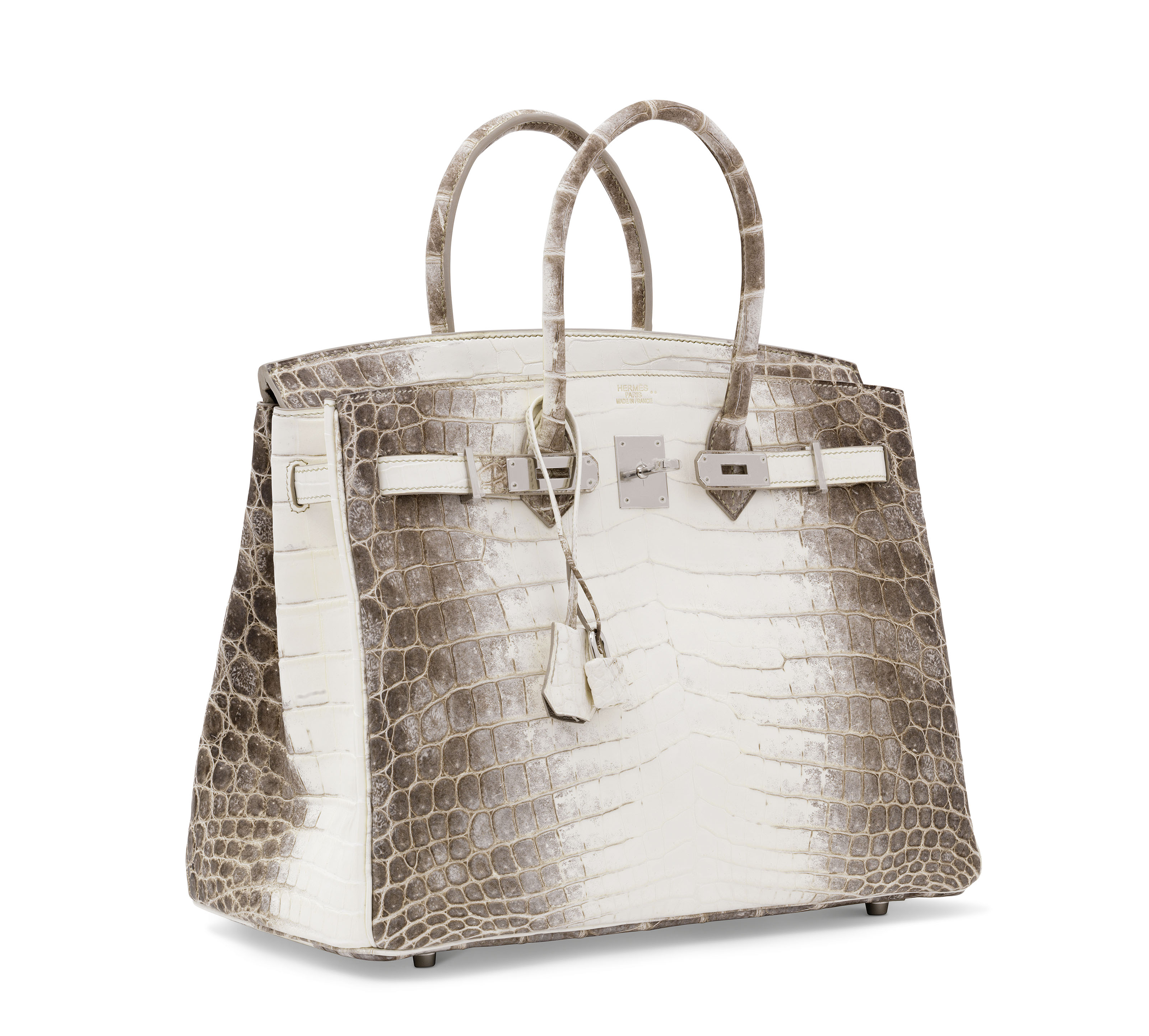 Himalaya niloticus crocodile birkin 35 online