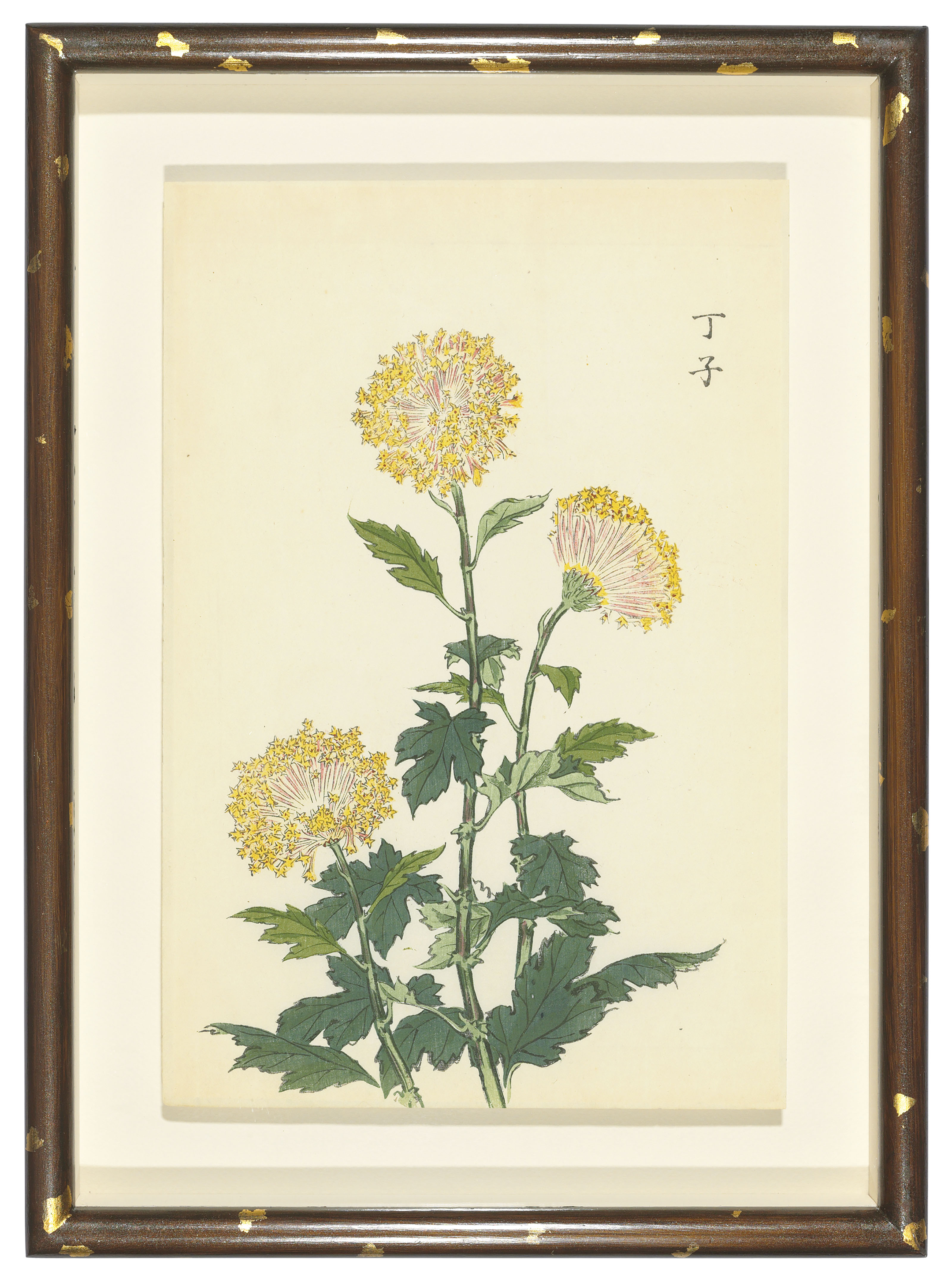 KEIKA HASEGAWA (ACTIVE 1892 1905) , TWELVE JAPANESE WOODBLOCK PRINTS