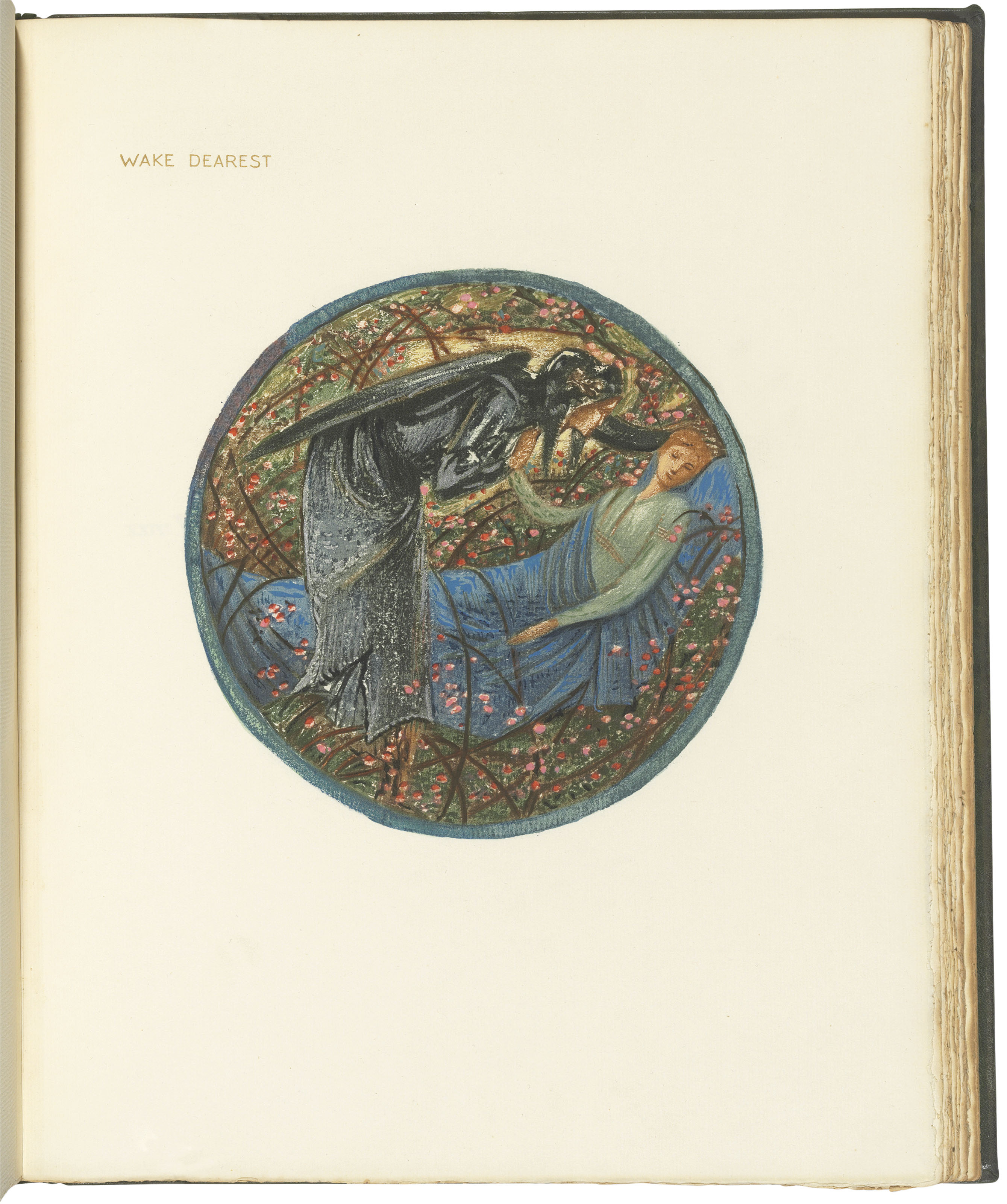 Edward Burne-Jones: The Flower Book 英語版 Edward Burne-Jones: The