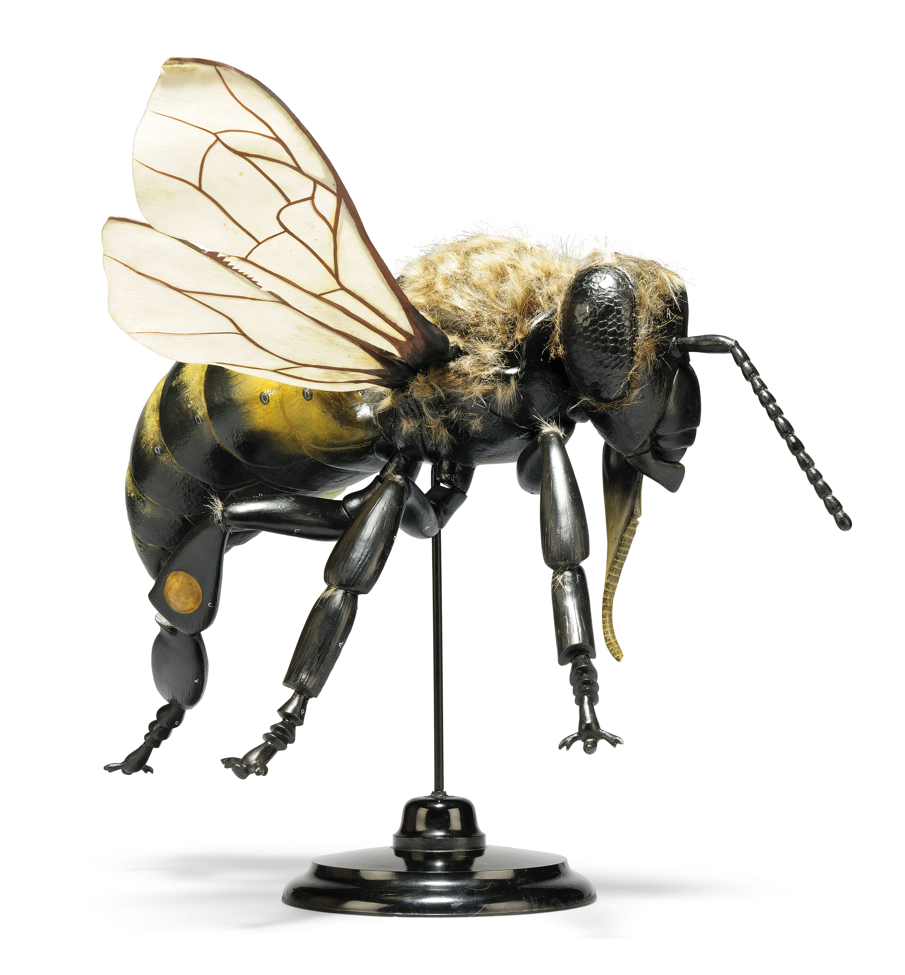 A POLYCHROMEDECORATED PAPIERMACHE AND BAKELITE MODEL OF A BUMBLE BEE