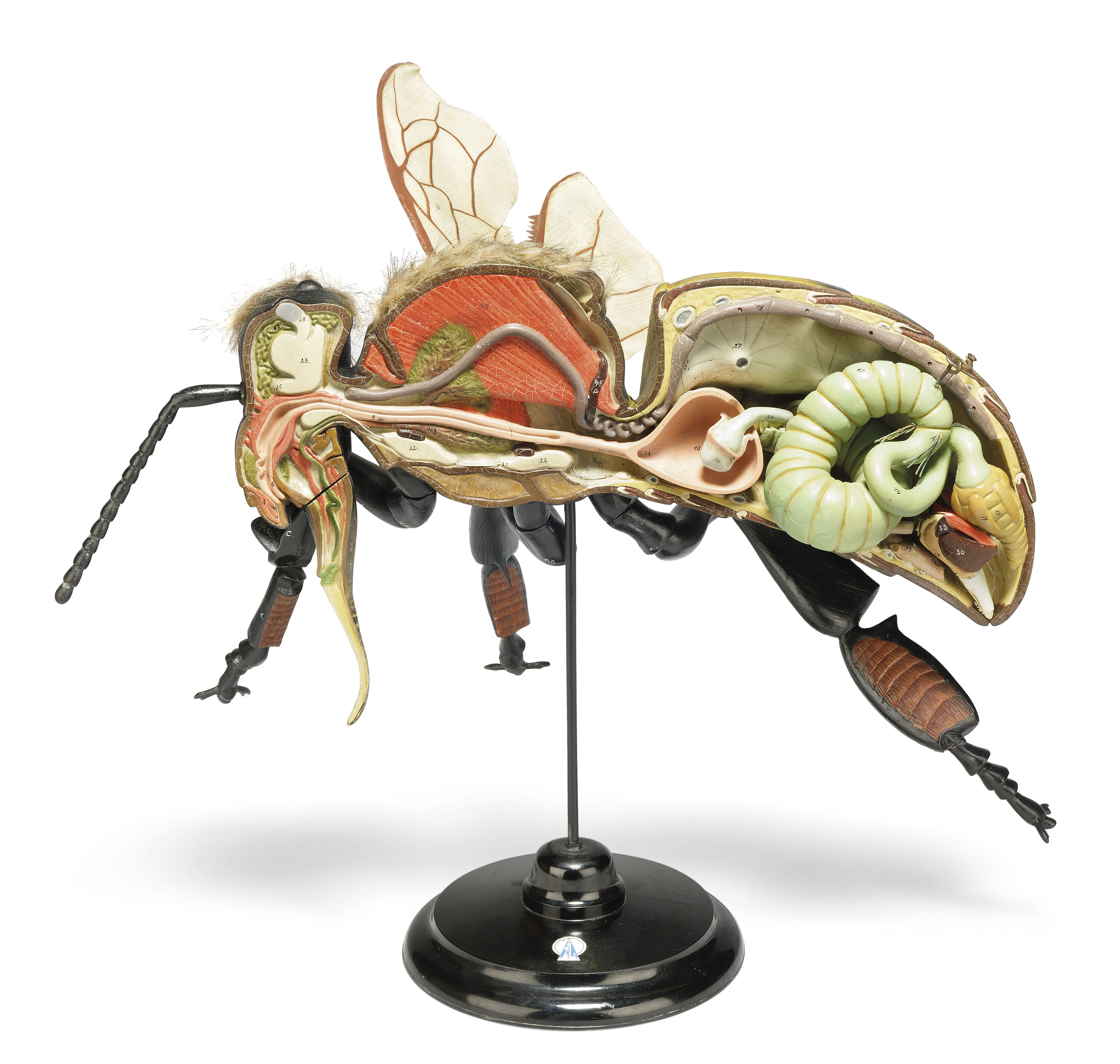 A POLYCHROMEDECORATED PAPIERMACHE AND BAKELITE MODEL OF A BUMBLE BEE