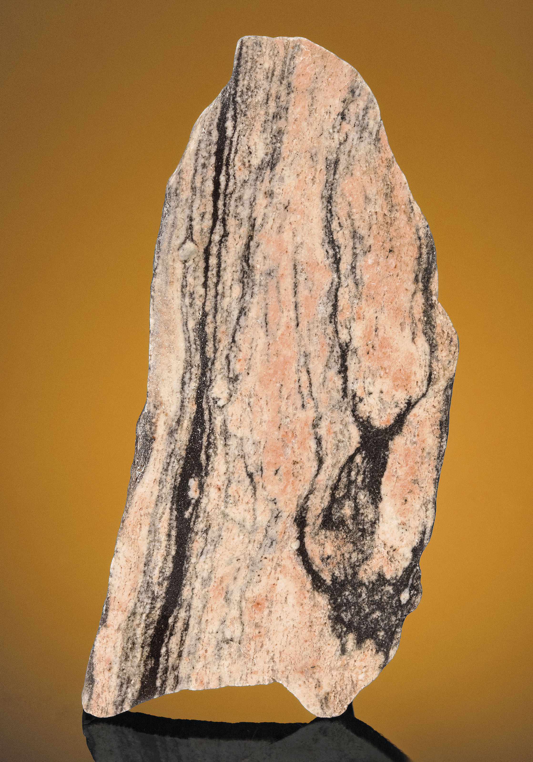 A SLICE OF ACASTA GNEISS — ONE OF THE OLDEST ROCKS ON EARTH