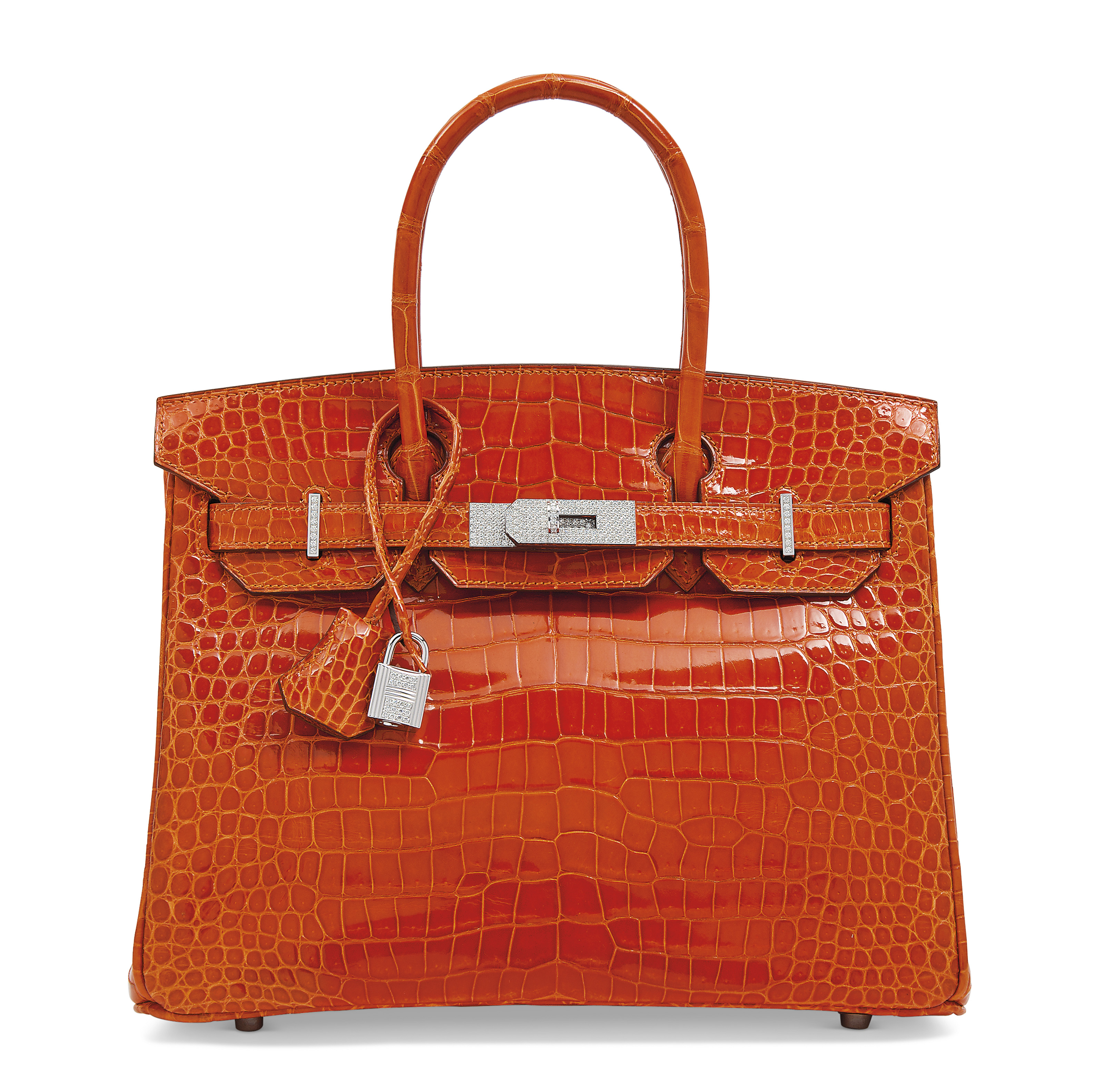 crocodile diamond birkin