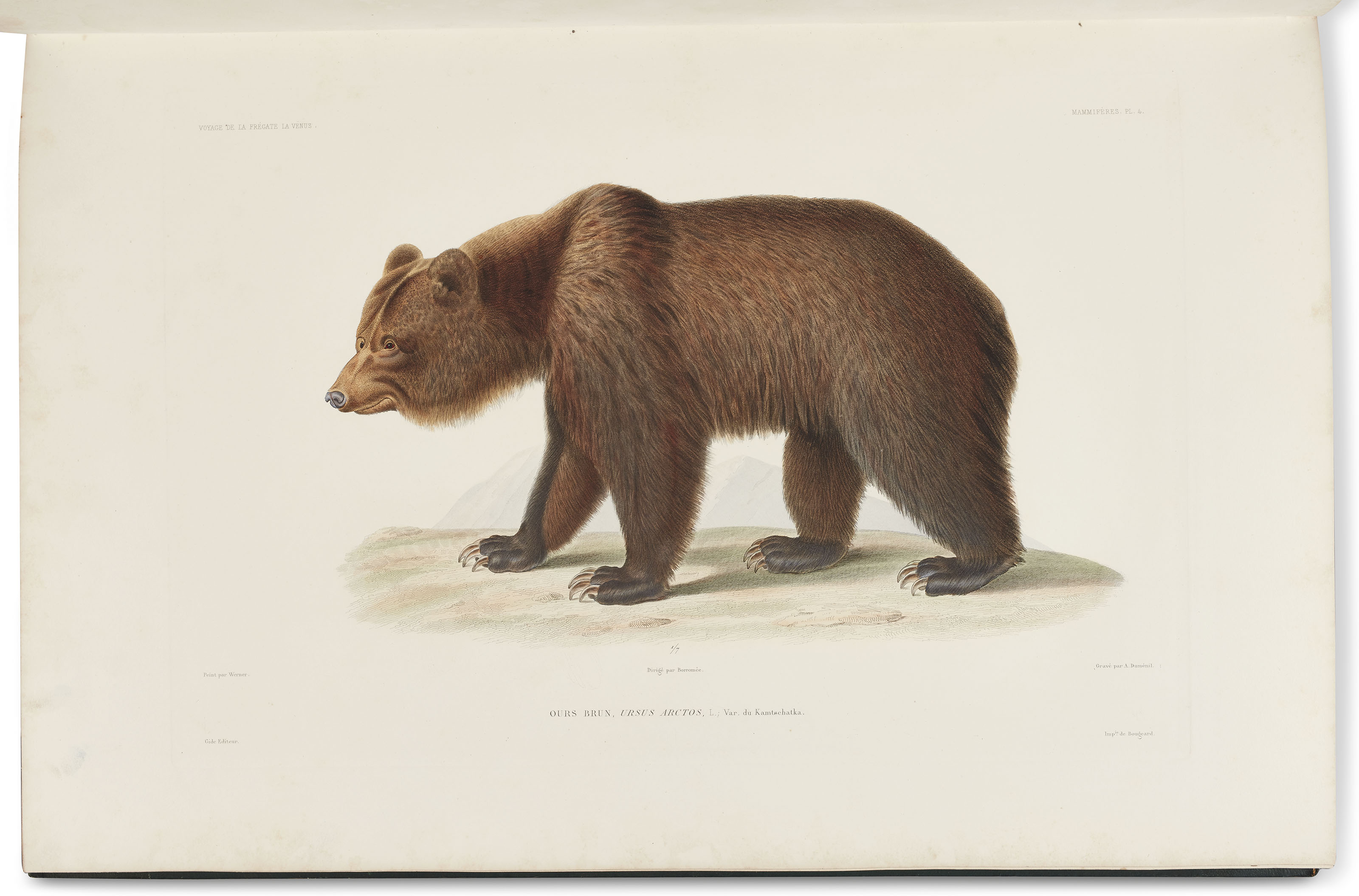 DU PETITTHOUARS, Abel Aubert (17931864). Voyage autour du Monde sur