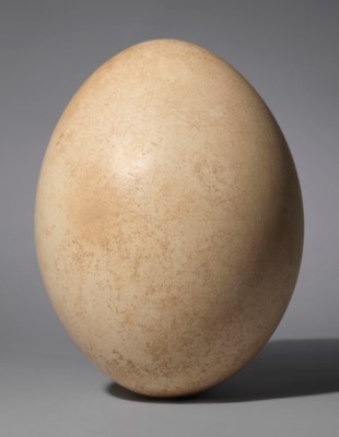 An Elephant Bird Egg Madagascar Pre 17th Century Christie S