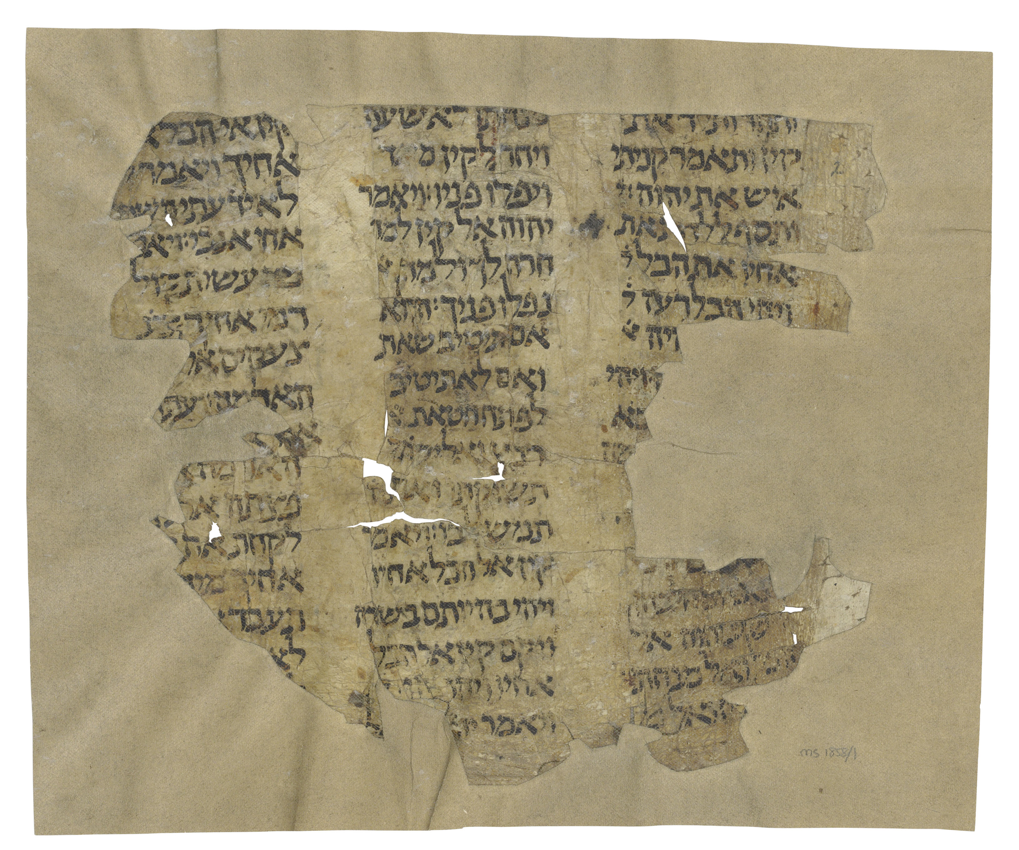 BIBLE, Genesis, in Hebrew, manuscript on vellum [near East, 9th or 10th