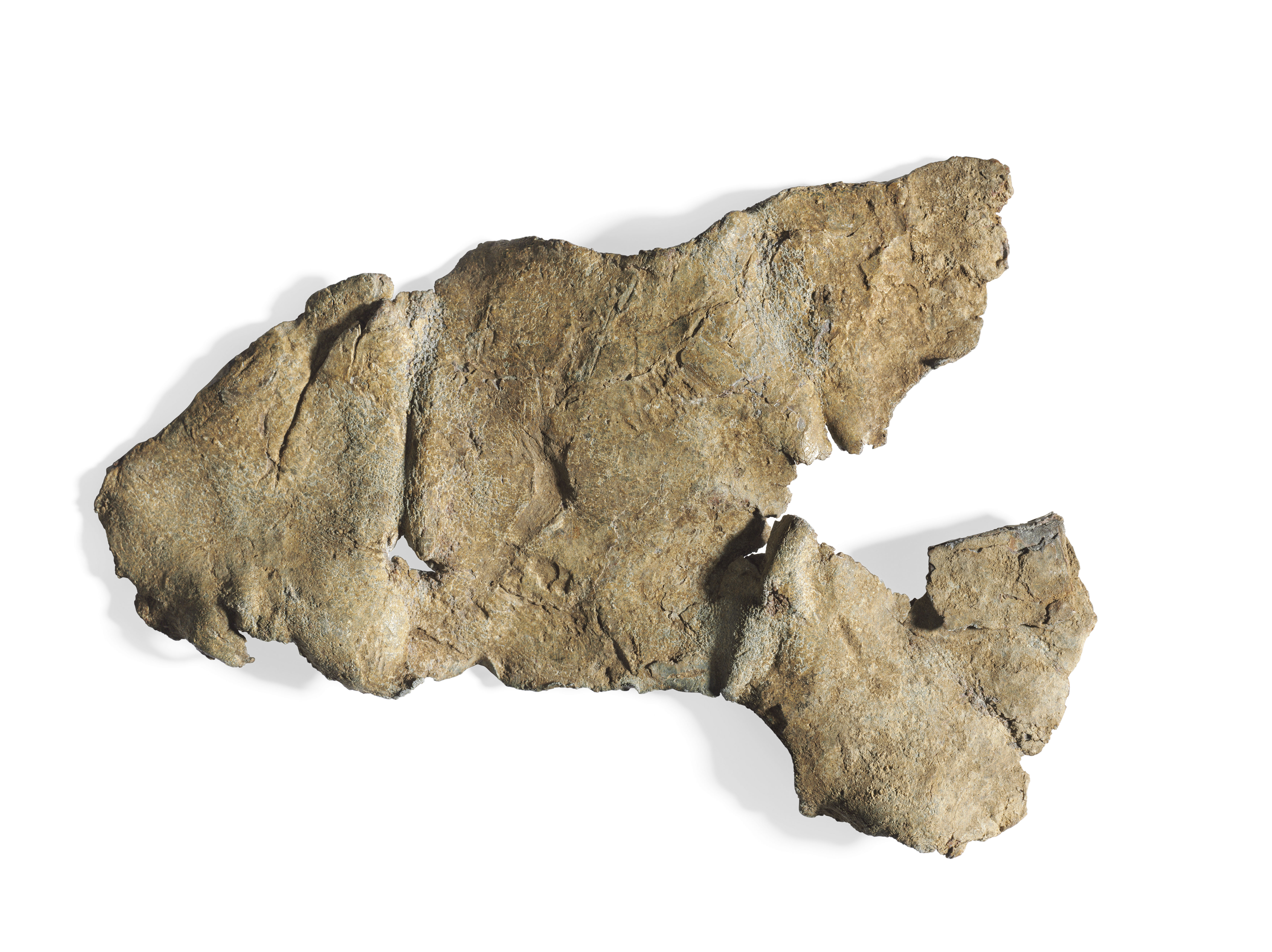 https www christies com en lot lot 6217456