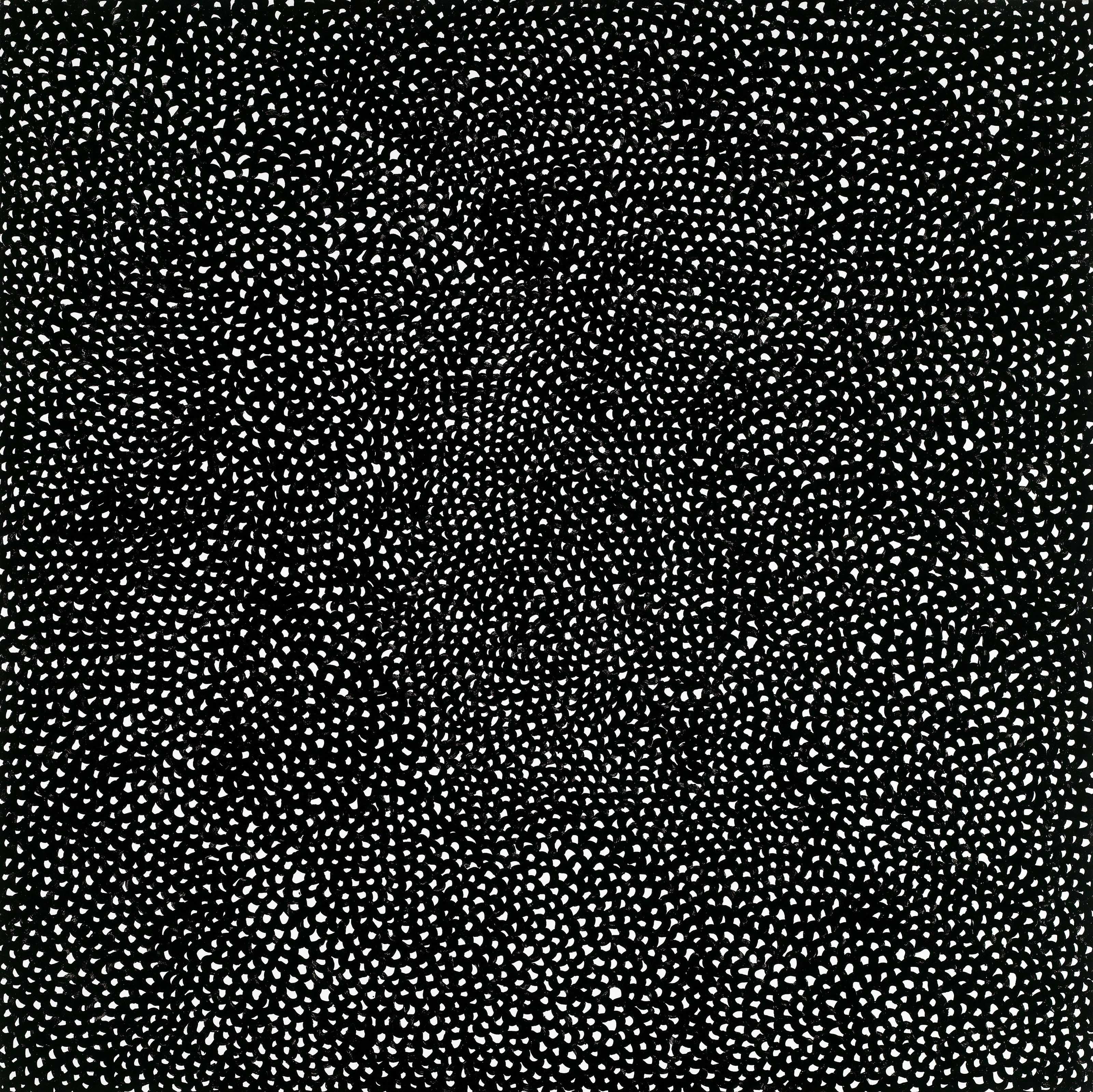 INFINITY-NETS (OQPZO)